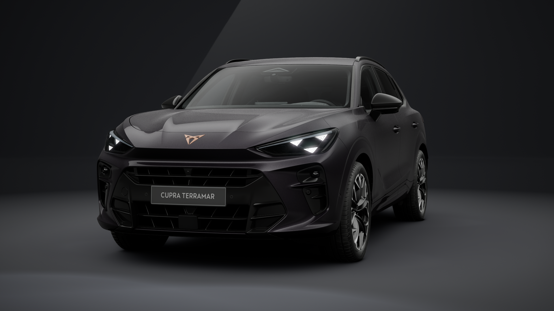 CUPRA Terramar 2.0 TSI 150 kW (204 PS) 7-Gang DSG 4Drive (1202846562025)