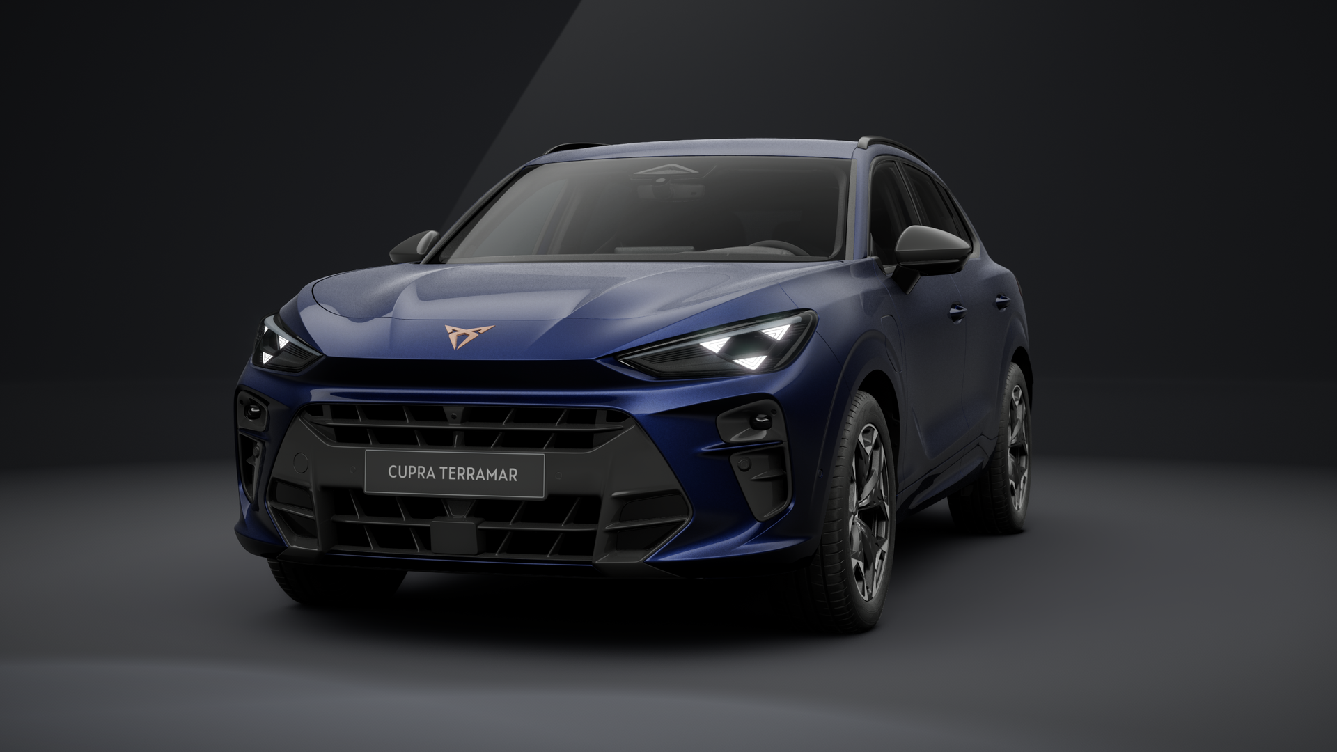 CUPRA Terramar VZ 1.5 e-HYBRID 200 kW (272 PS) 6-Gang-DSG (1203328152025)