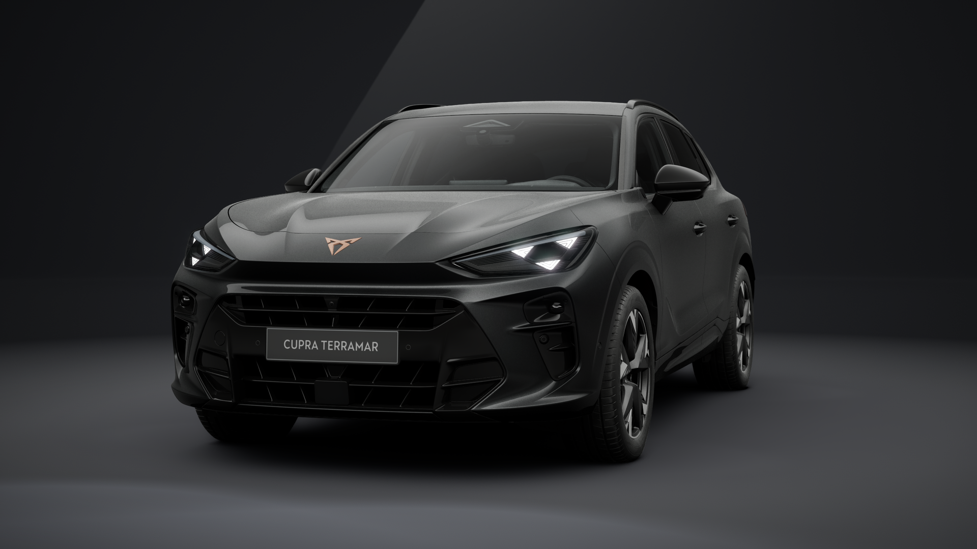 CUPRA Terramar 1.5 eTSI 110 kW (150 PS) 7-Gang-DSG (1202832242025)