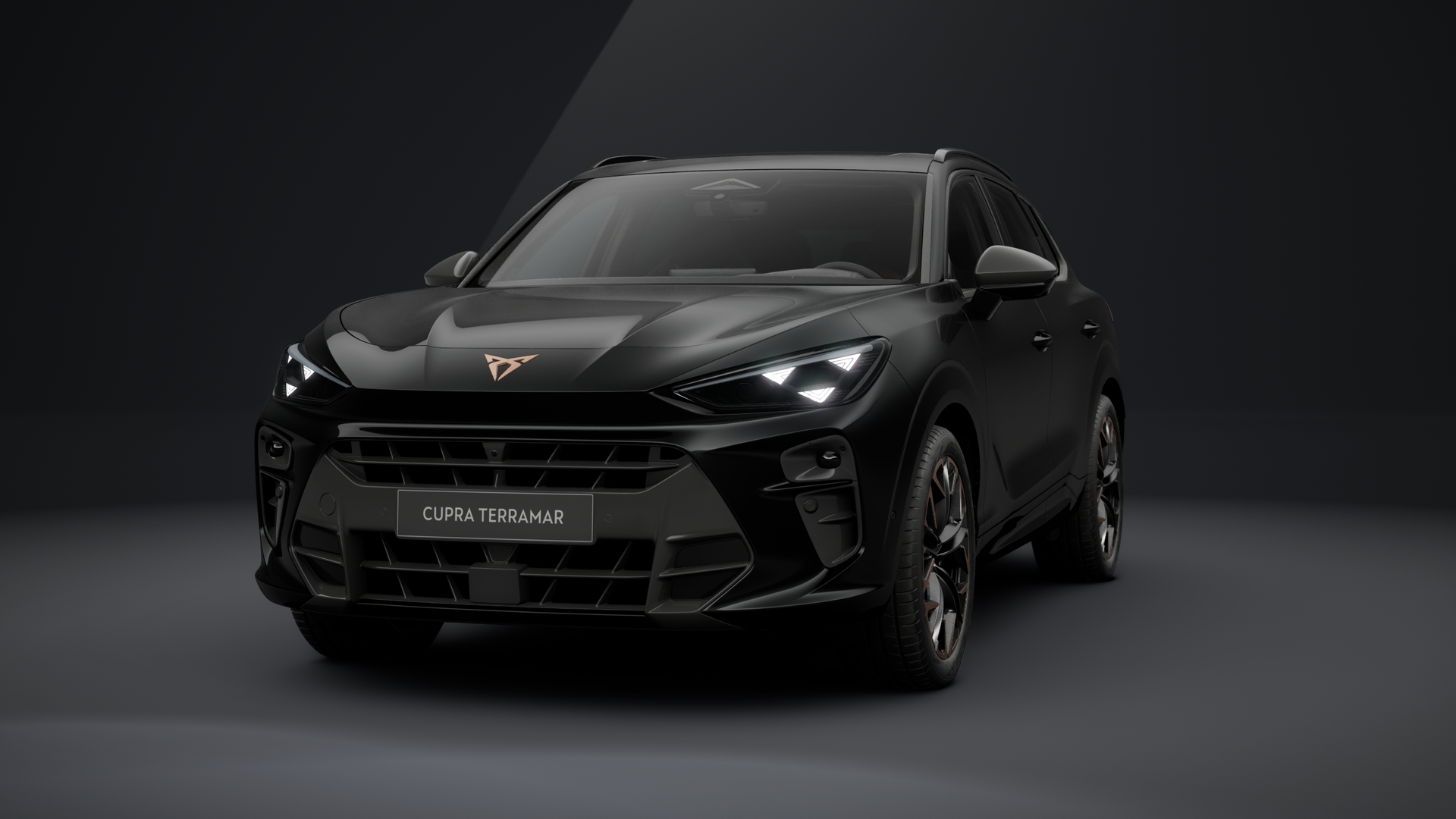 CUPRA Terramar VZ 2.0 TSI 195 kW (265 PS) 7-Gang DSG 4Drive (1203914792026)