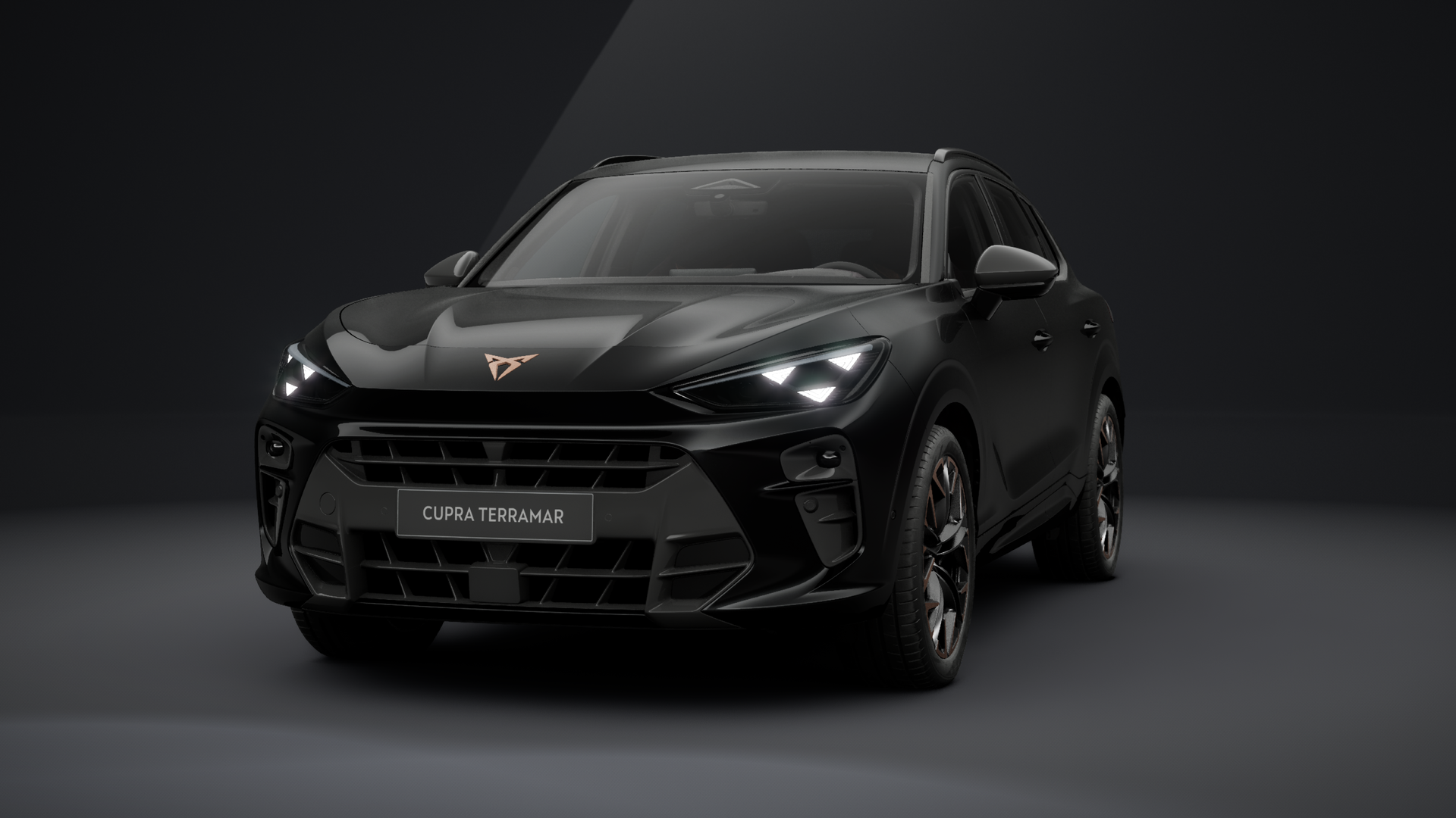 CUPRA Terramar VZ 2.0 TSI 195 kW (265 PS) 7-Gang DSG 4Drive (1202783422025)