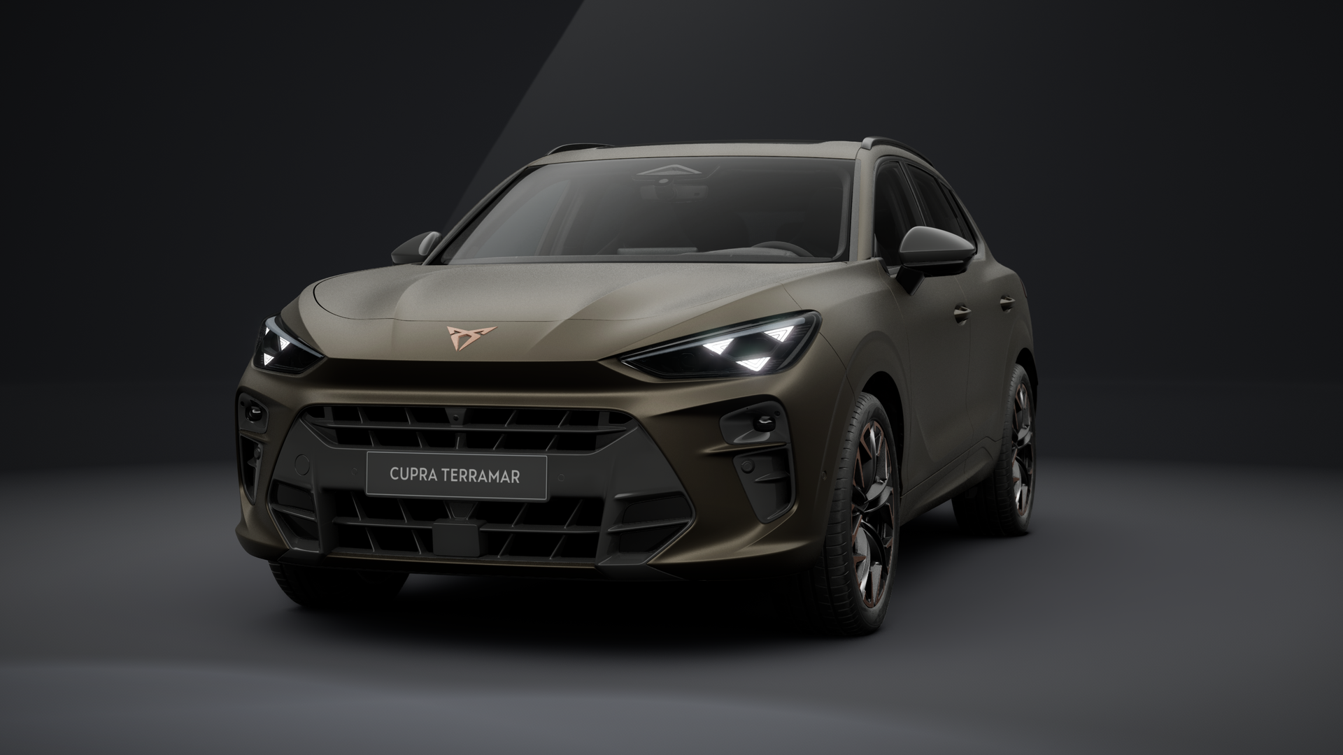 CUPRA Terramar VZ 2.0 TSI 195 kW (265 PS) 7-Gang DSG 4Drive (1203600202026)