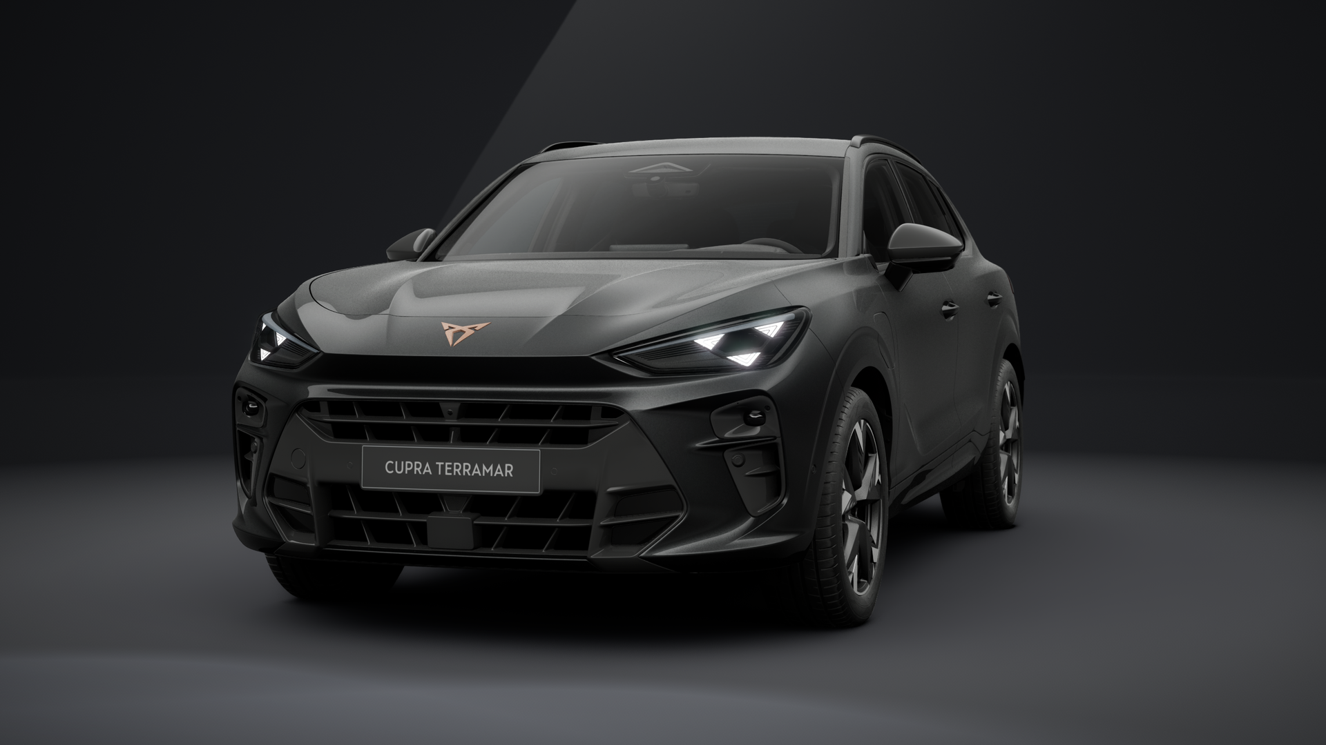 CUPRA Terramar 1.5 e-HYBRID 150 kW (204 PS) 6-Gang-DSG (1203342422025)