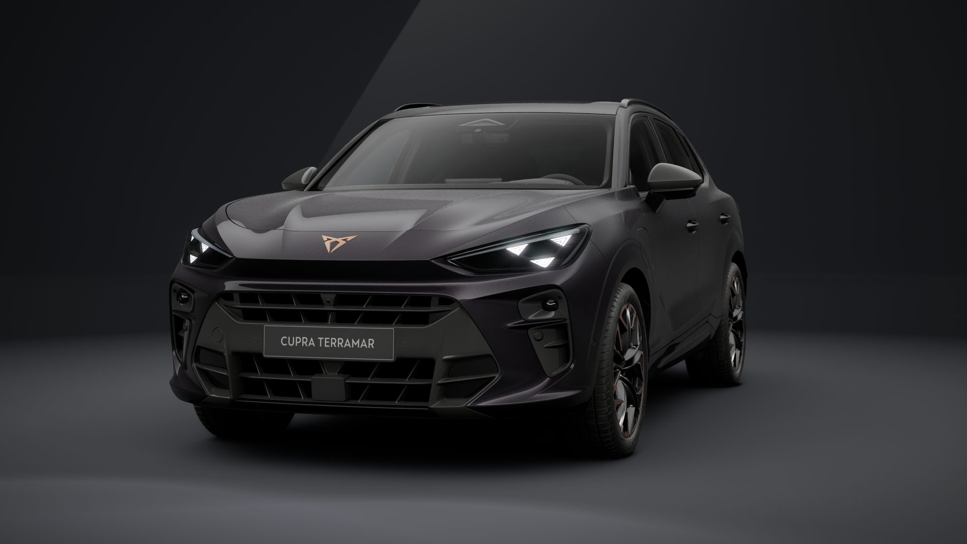 CUPRA Terramar VZ 1.5 e-HYBRID 200 kW (272 PS) 6-Gang-DSG (1203024142025)