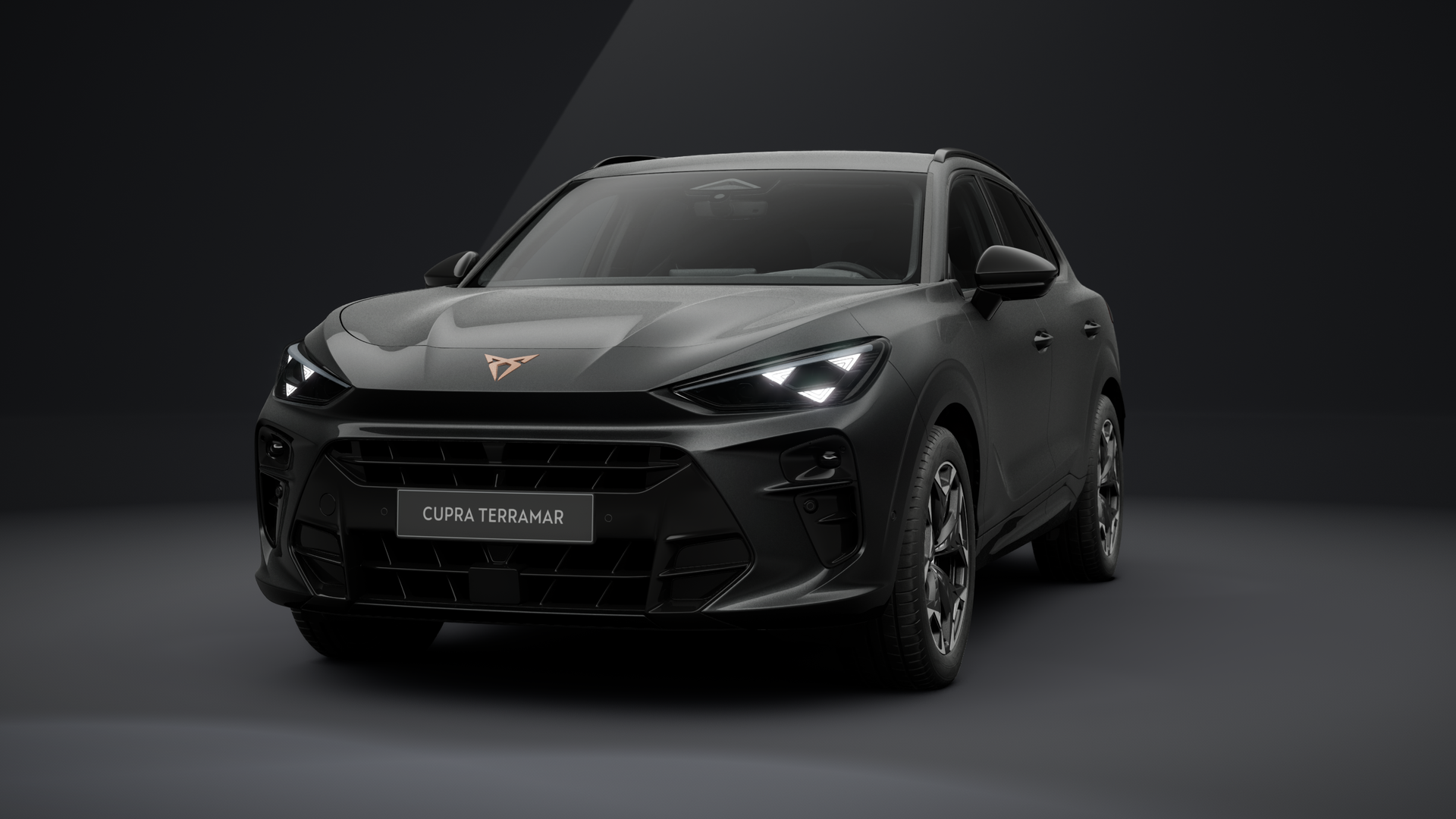 CUPRA Terramar 2.0 TSI 150 kW (204 PS) 7-Gang DSG 4Drive (1202904712025)