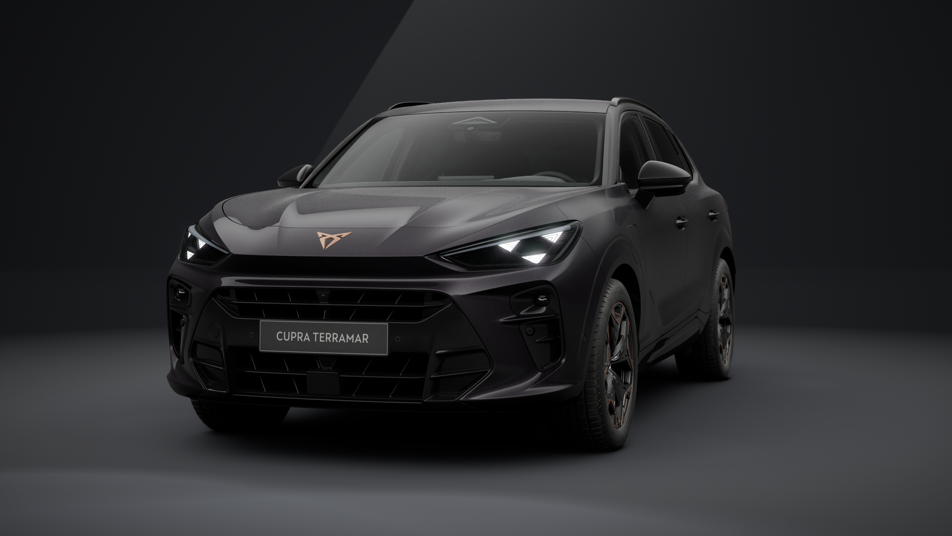 CUPRA Terramar 1.5 e-HYBRID 150 kW (204 PS) 6-Gang-DSG (1203084642025)