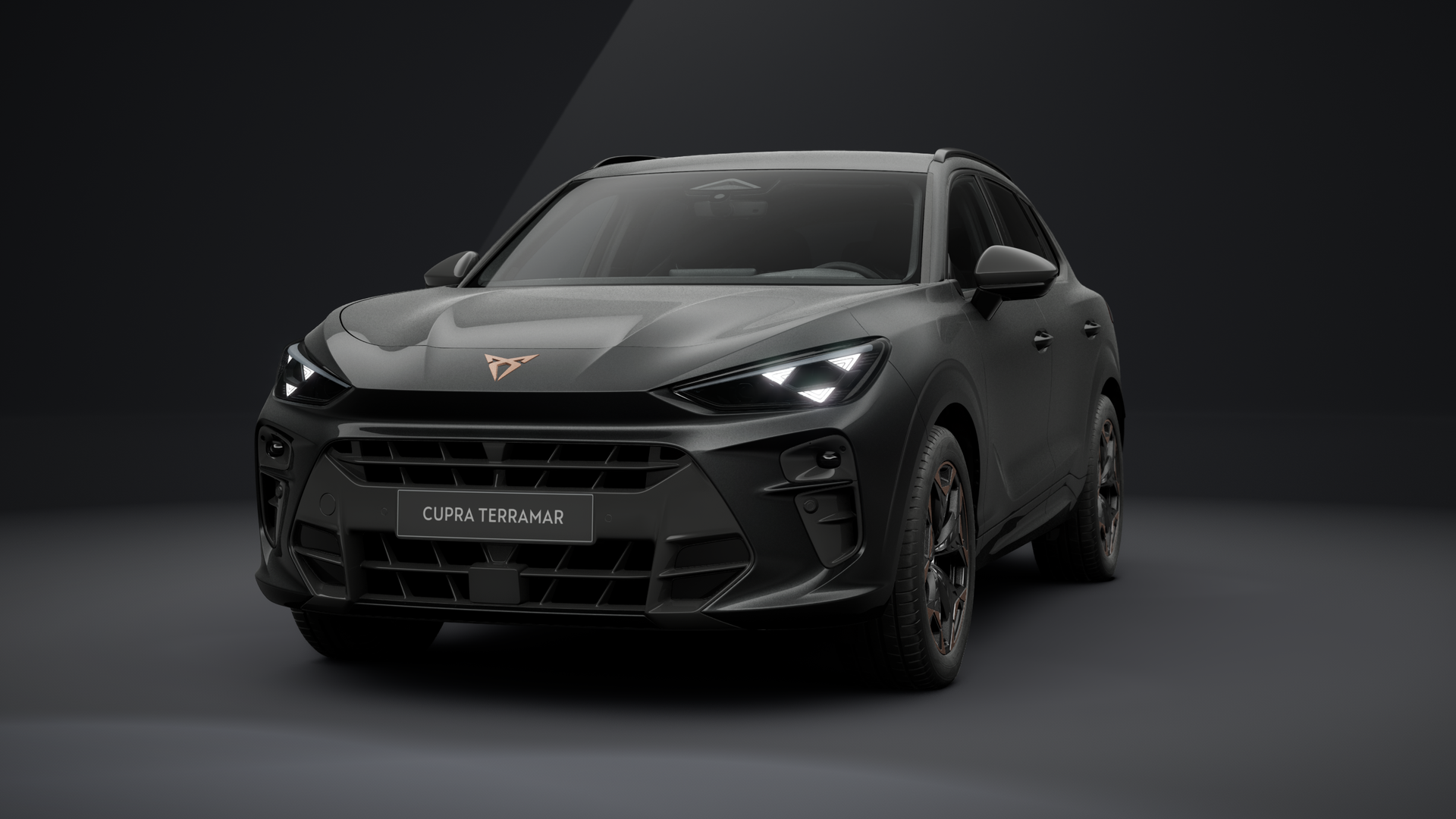 CUPRA Terramar VZ 2.0 TSI 195 kW (265 PS) 7-Gang DSG 4Drive (1203784022026)