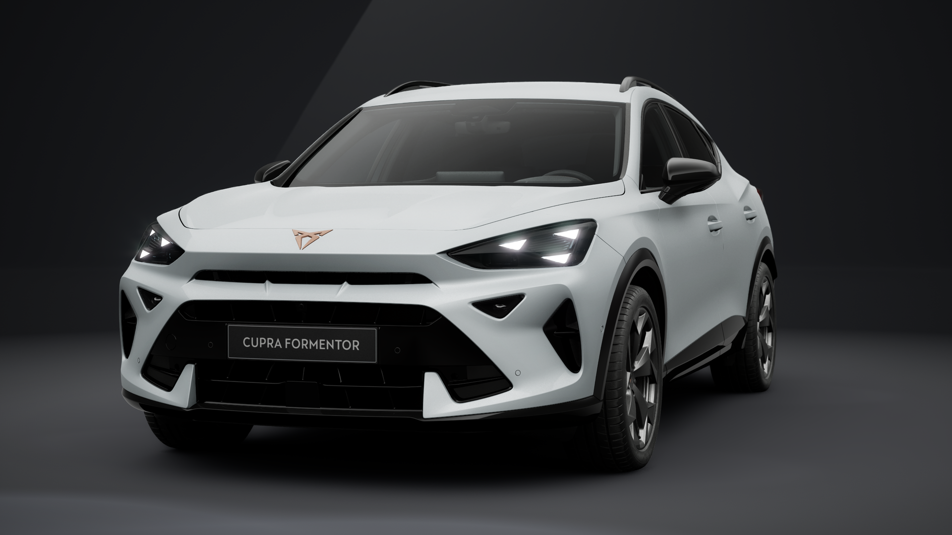 CUPRA Formentor 2.0 TDI 110 kW (150 PS) 7-Gang-DSG (1201359212024)