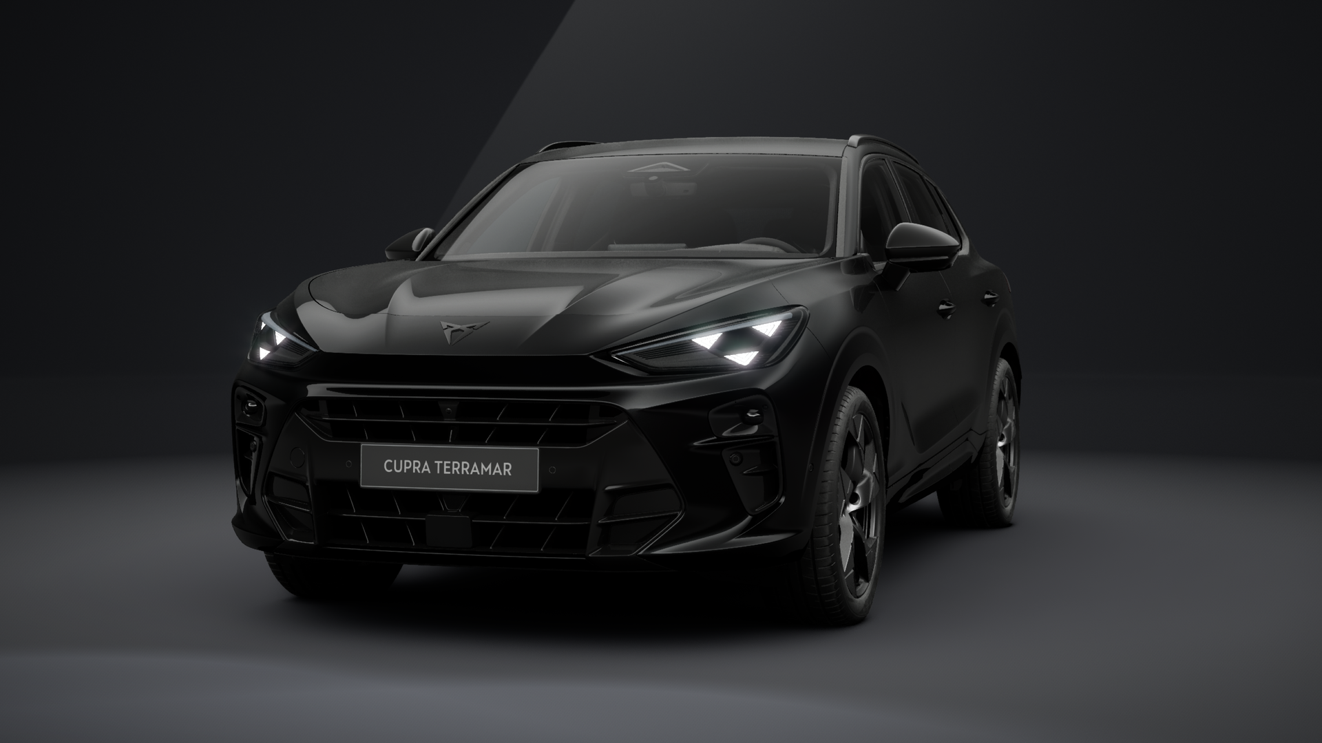 CUPRA Terramar Tribe Edition 2.0 TSI 150 kW (204 PS) 7-Gang DSG 4Drive (1204481692026)