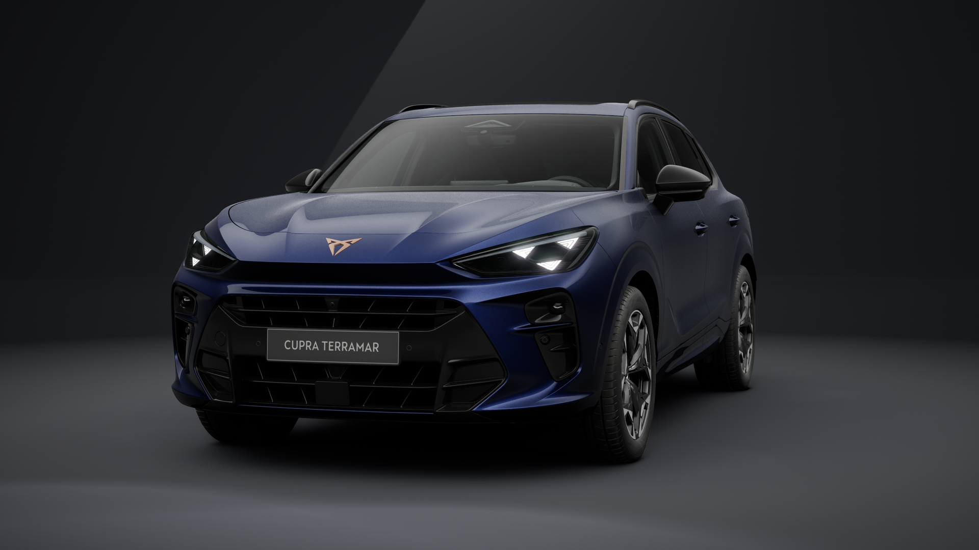 CUPRA Terramar VZ 2.0 TSI 195 kW (265 PS) 7-Gang DSG 4Drive (1202492322025)