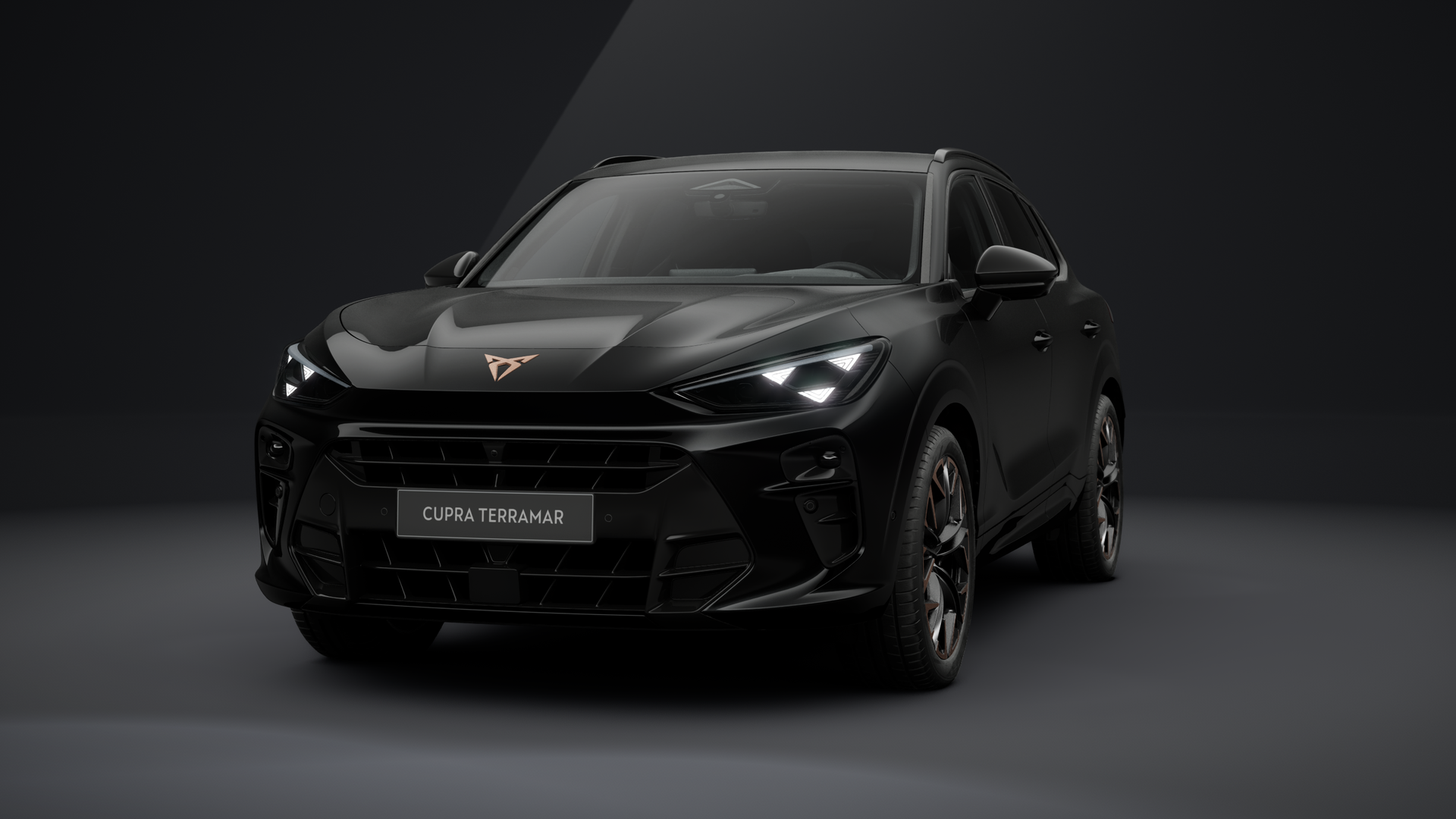 CUPRA Terramar VZ 2.0 TSI 195 kW (265 PS) 7-Gang DSG 4Drive (1202903792025)