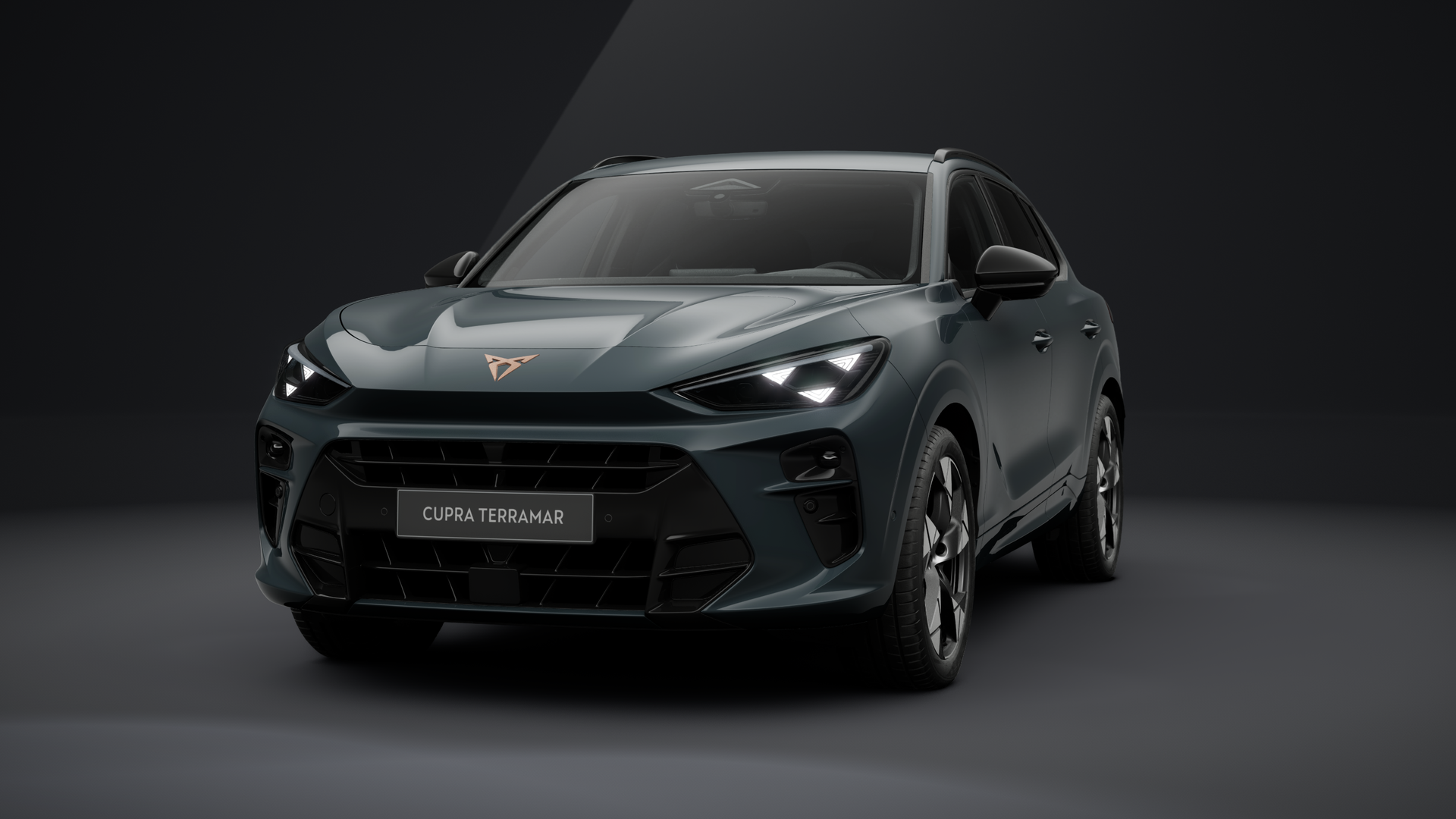 CUPRA Terramar 1.5 eTSI 110 kW (150 PS) 7-Gang-DSG (1202845812025)