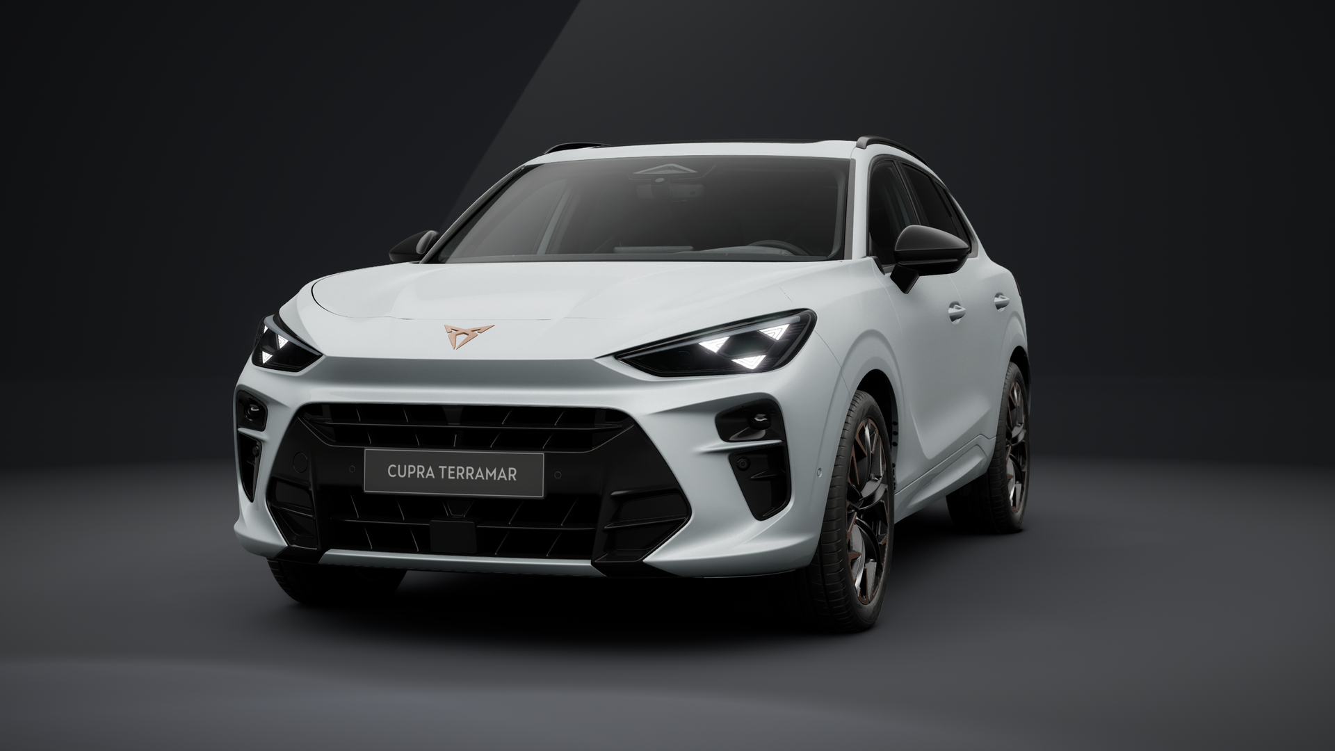 CUPRA Terramar VZ 2.0 TSI 195 kW (265 PS) 7-Gang DSG 4Drive (1202847912025)