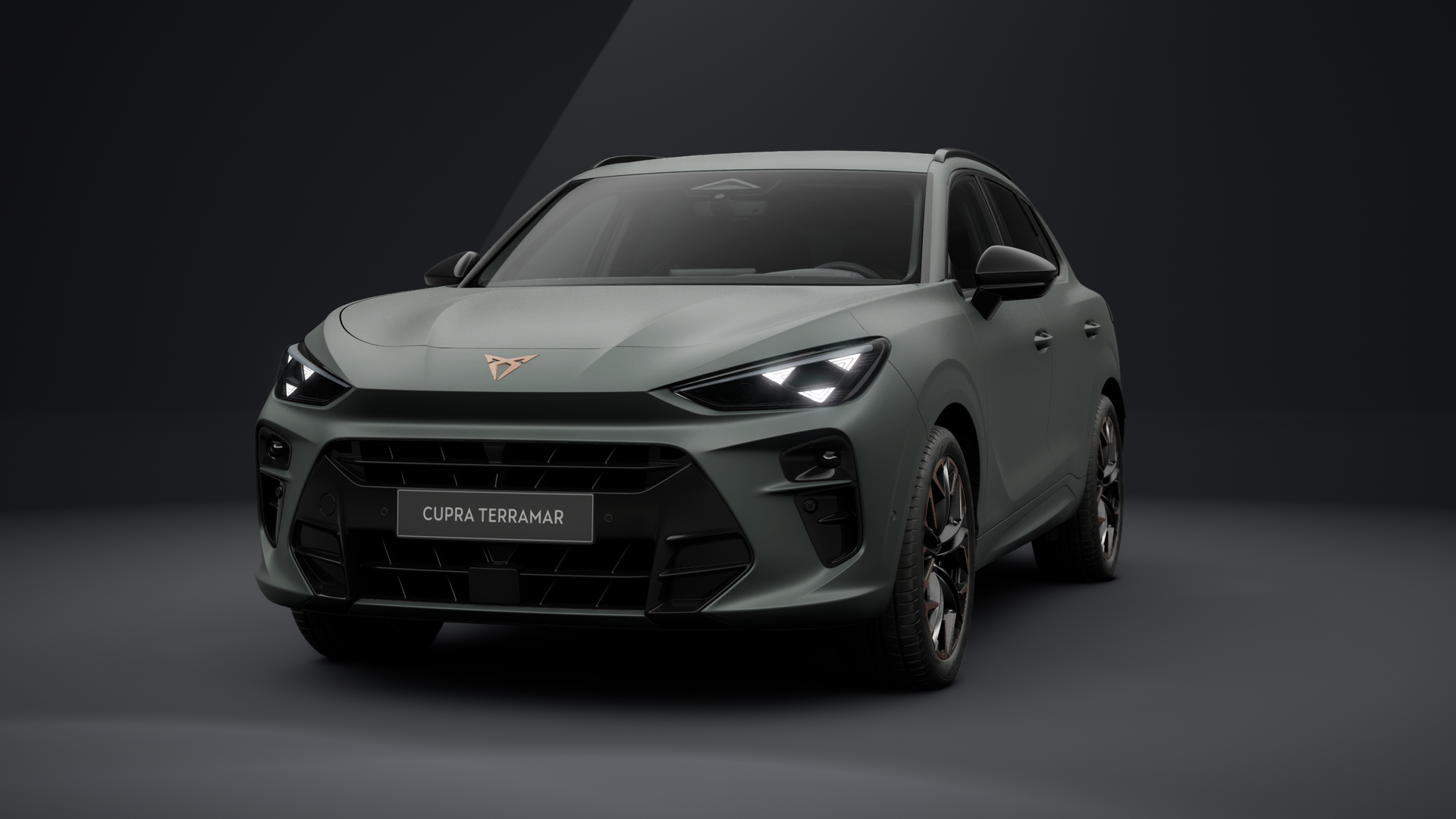 CUPRA Terramar VZ 2.0 TSI 195 kW (265 PS) 7-Gang DSG 4Drive (1202513192025)
