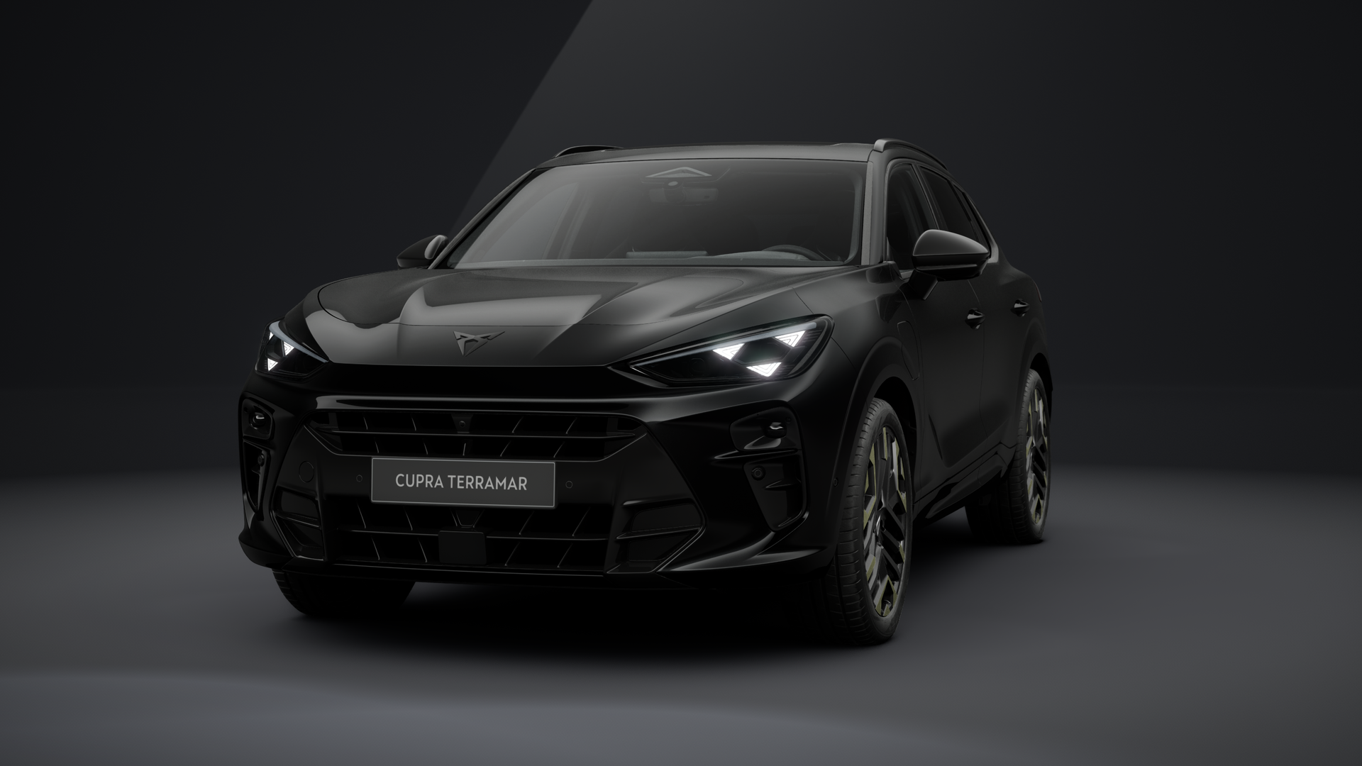 CUPRA Terramar VZ Tribe Edition 1.5 e-HYBRID 200 kW (272 PS) 6-Gang-DSG (1203044782025)