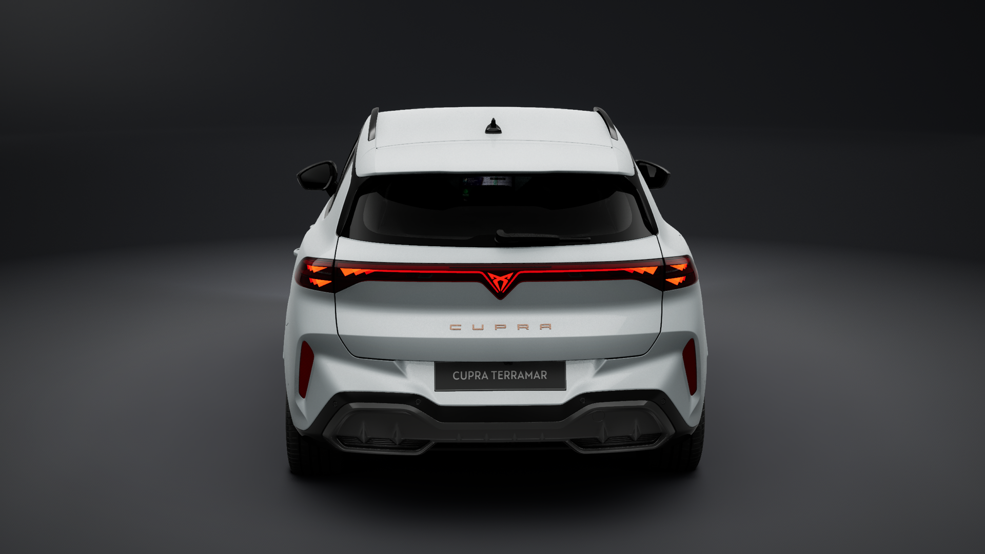 Bild des Autos 2