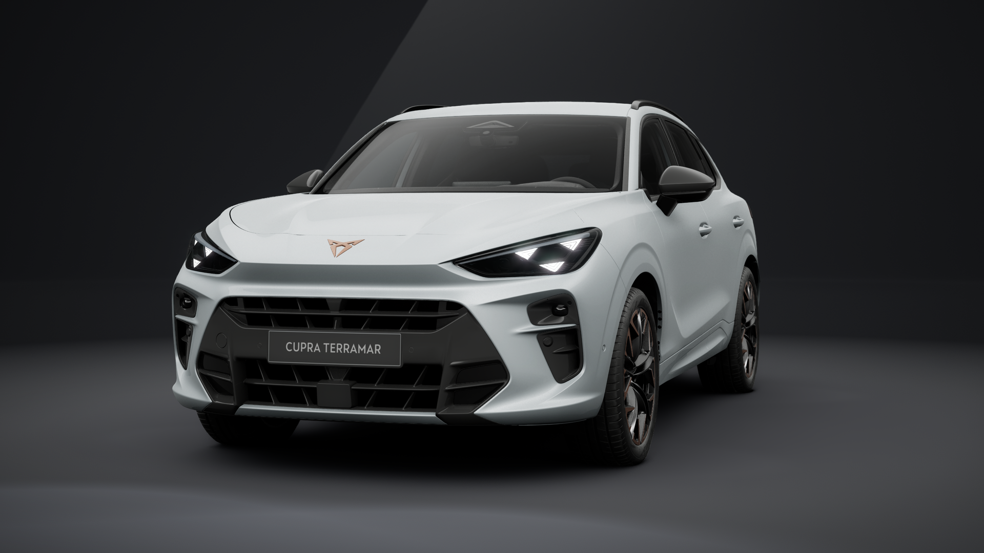 CUPRA Terramar VZ 2.0 TSI 195 kW (265 PS) 7-Gang DSG 4Drive (1202284222025)