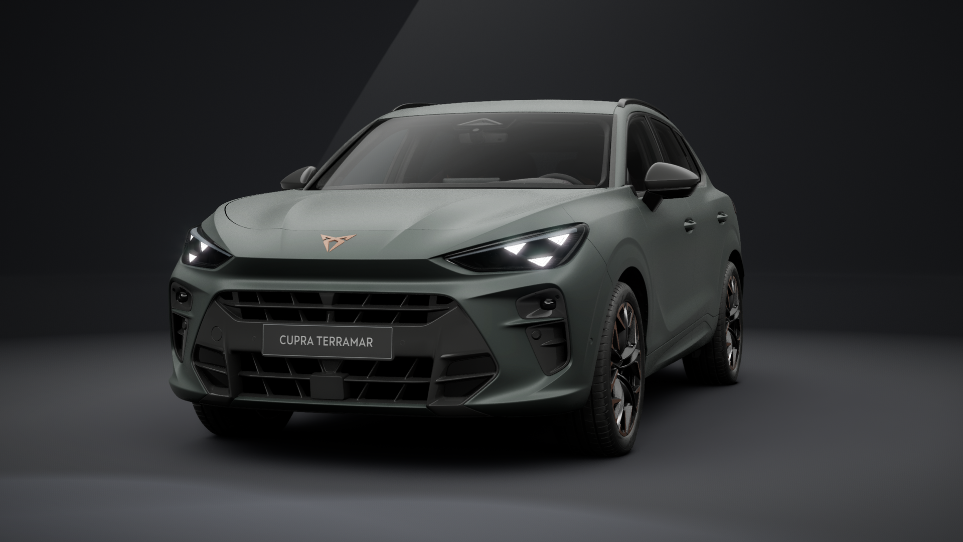 CUPRA Terramar VZ 2.0 TSI 195 kW (265 PS) 7-Gang DSG 4Drive (1202513192025)