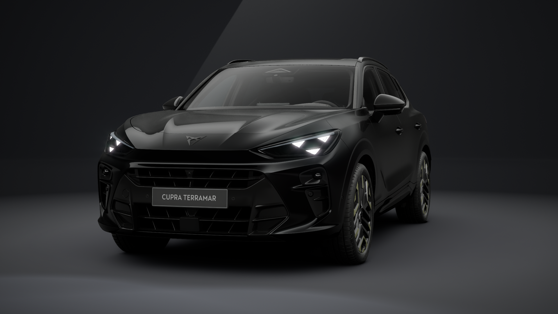 CUPRA Terramar VZ Tribe Edition 2.0 TSI 195 kW (265 PS) 7-Gang DSG 4Drive (1203896812026)