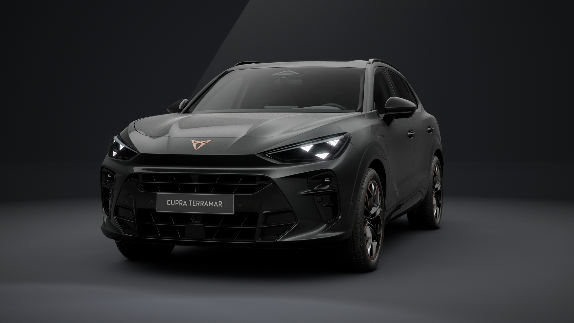 CUPRA Terramar VZ 1.5 e-HYBRID 200 kW (272 PS) 6-Gang-DSG (1202724332025)