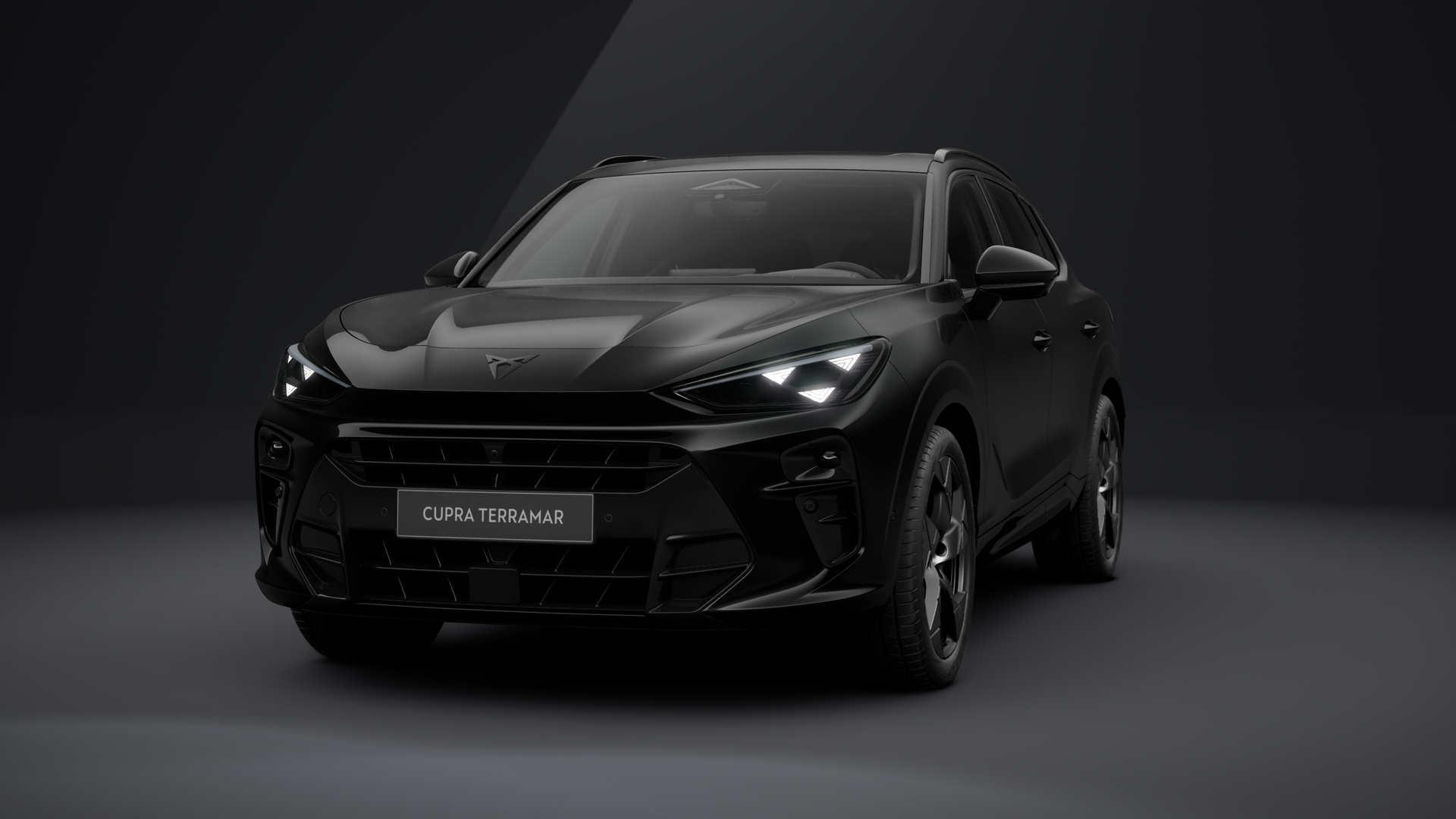 CUPRA Terramar Tribe Edition 2.0 TSI 150 kW (204 PS) 7-Gang DSG 4Drive (1204031652026)