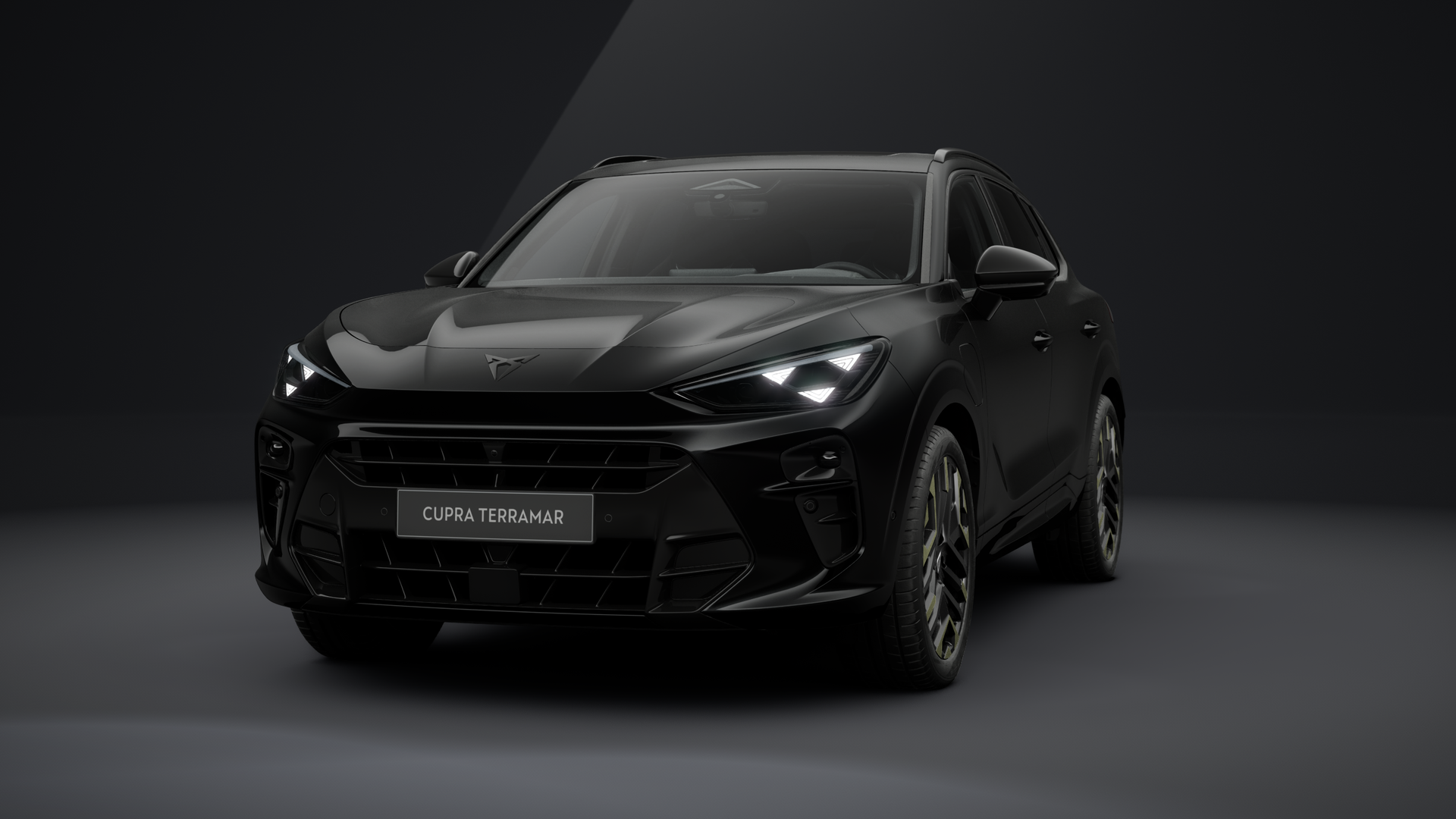 CUPRA Terramar VZ Tribe Edition 1.5 e-HYBRID 200 kW (272 PS) 6-Gang-DSG (1203389632025)