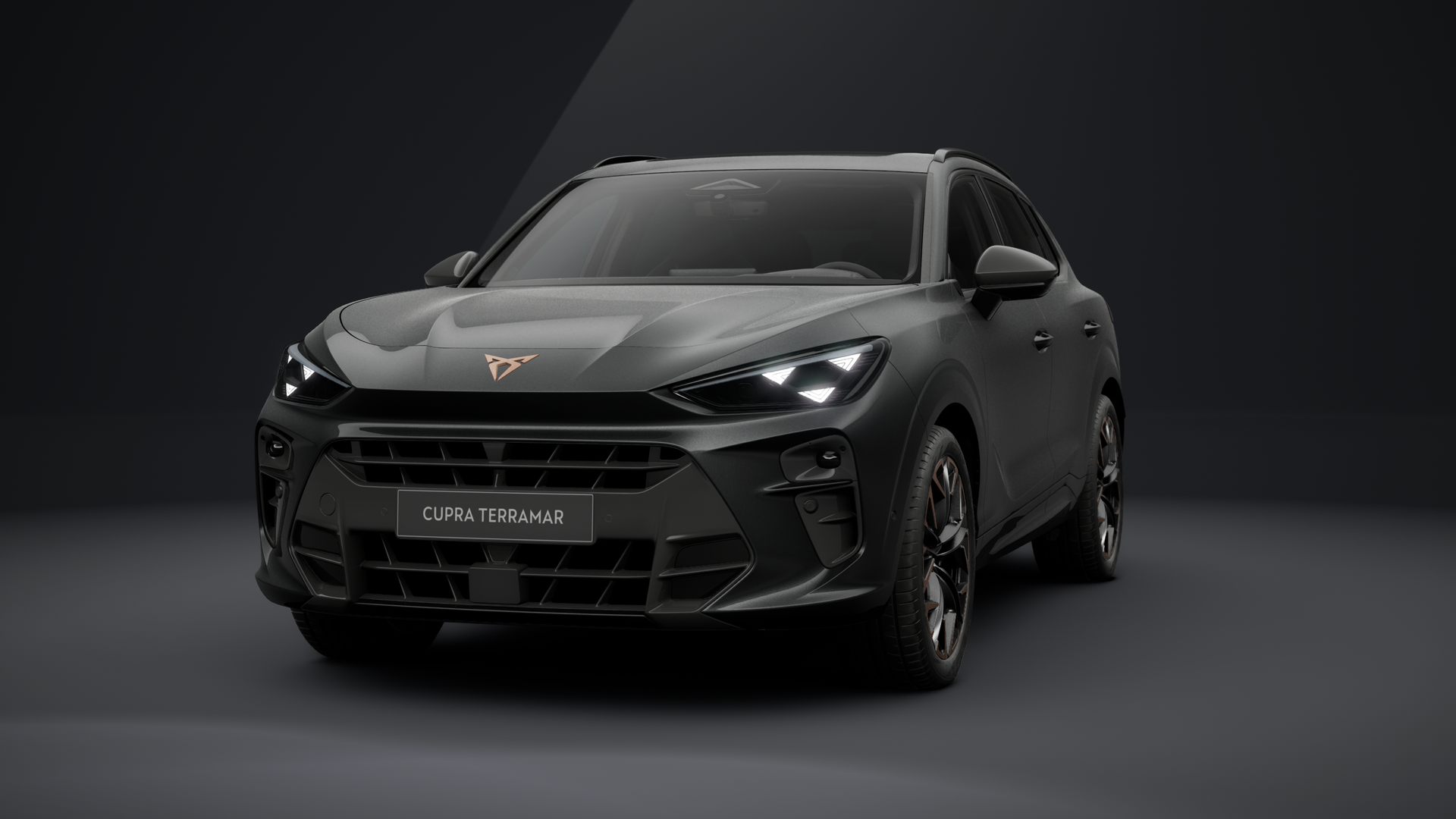 CUPRA Terramar VZ 2.0 TSI 195 kW (265 PS) 7-Gang DSG 4Drive (1202849162025)