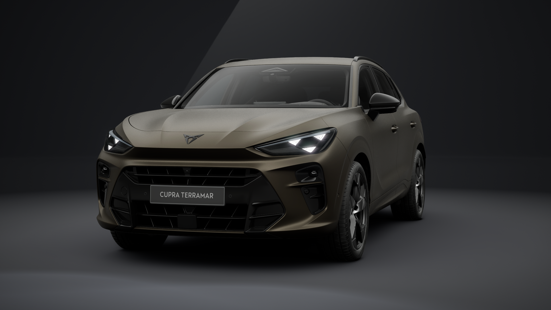 CUPRA Terramar Tribe Edition 2.0 TSI 150 kW (204 PS) 7-Gang DSG 4Drive (1204481762026)