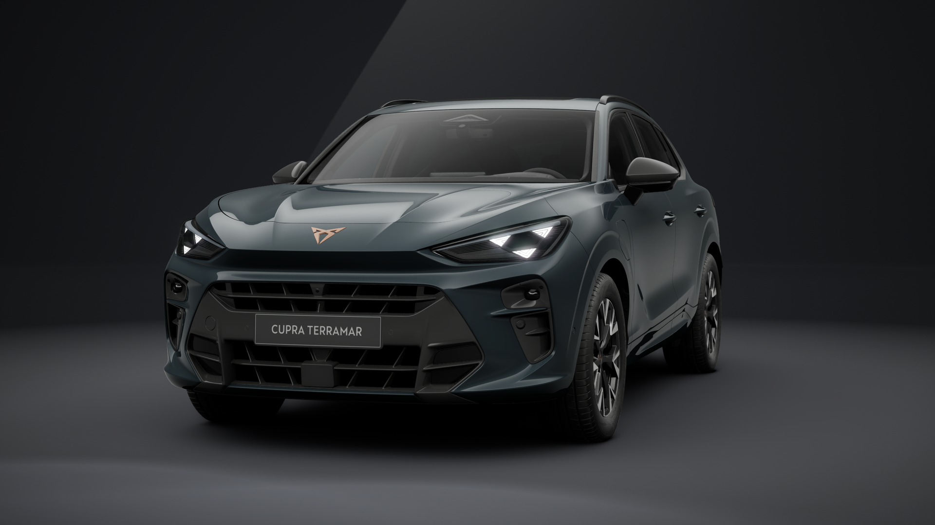 CUPRA Terramar 1.5 e-HYBRID 150 kW (204 PS) 6-Gang-DSG (1202973092025)
