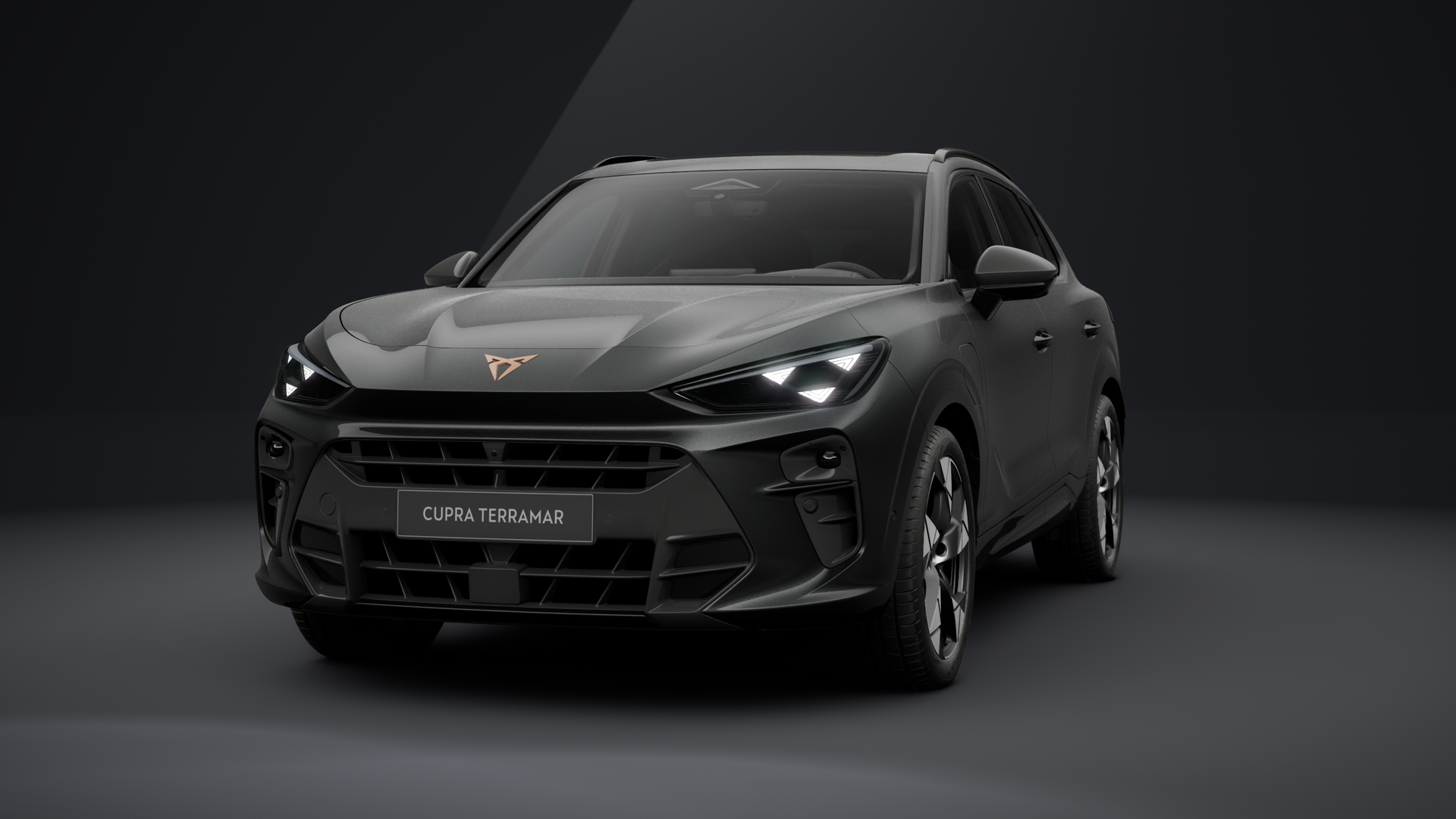 CUPRA Terramar VZ 1.5 e-HYBRID 200 kW (272 PS) 6-Gang-DSG (1203383802025)