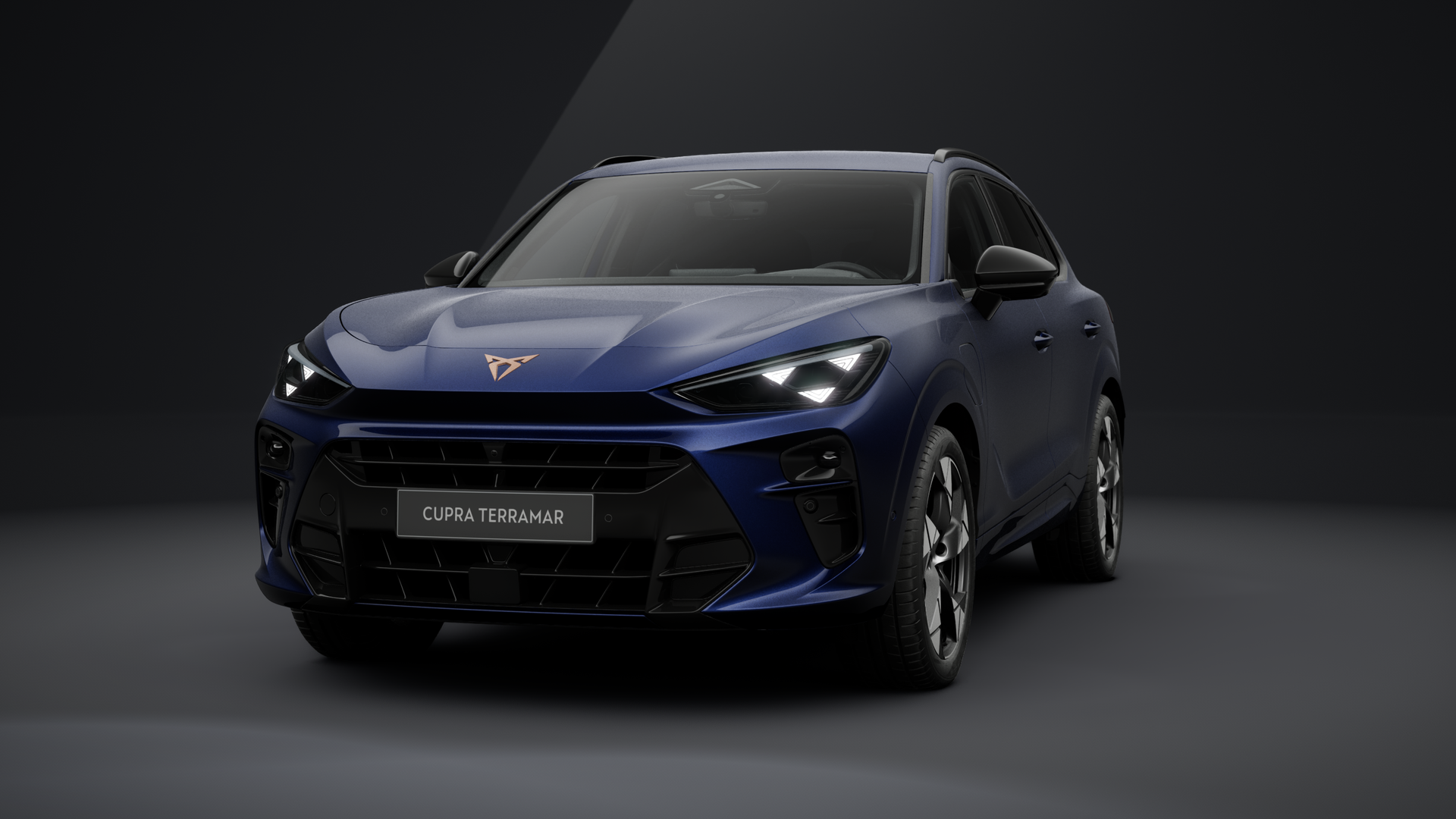 CUPRA Terramar 1.5 e-HYBRID 150 kW (204 PS) 6-Gang-DSG (1204031672026)