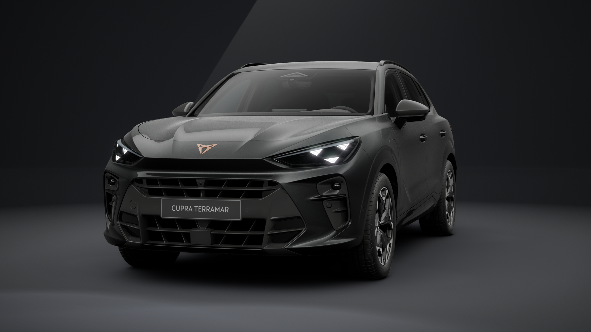 CUPRA Terramar VZ 1.5 e-HYBRID 200 kW (272 PS) 6-Gang-DSG (1203386862025)