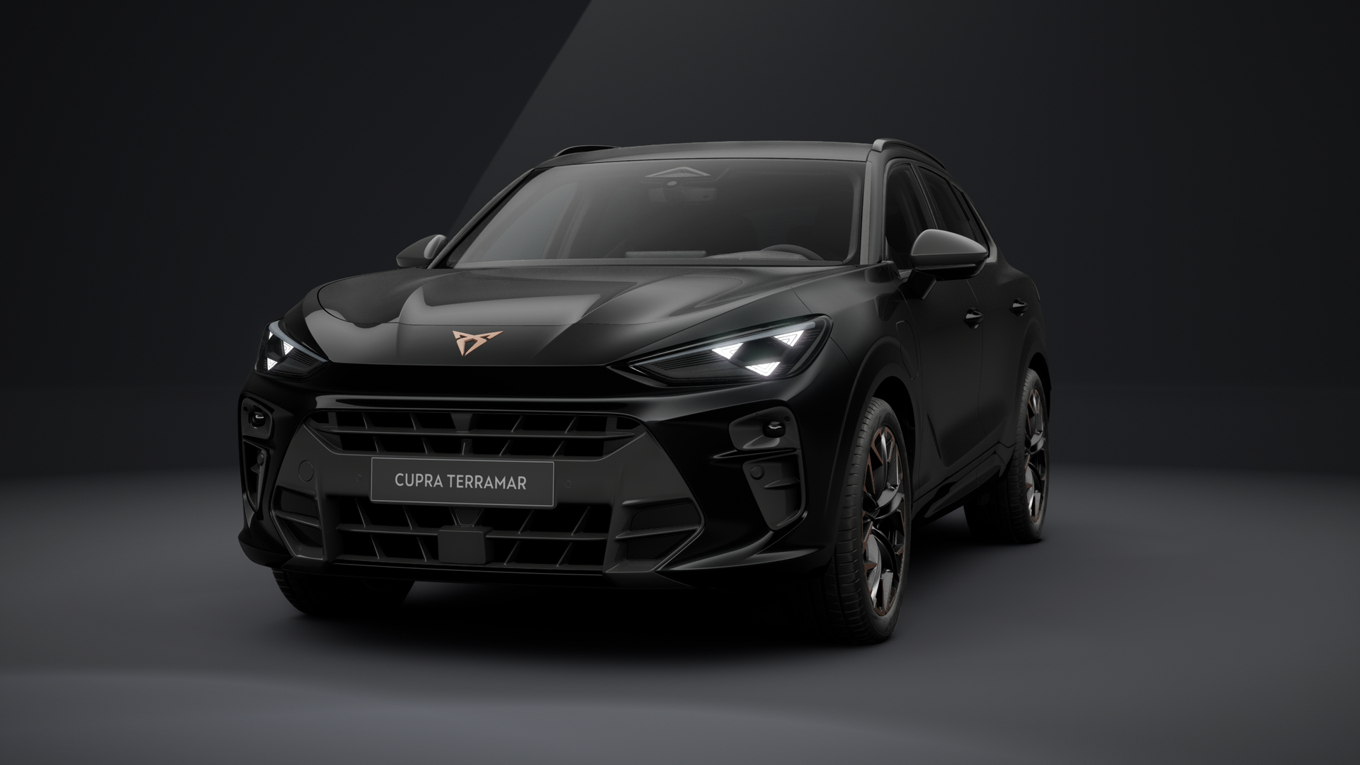 CUPRA Terramar VZ 1.5 e-HYBRID 200 kW (272 PS) 6-Gang-DSG (1203303482025)