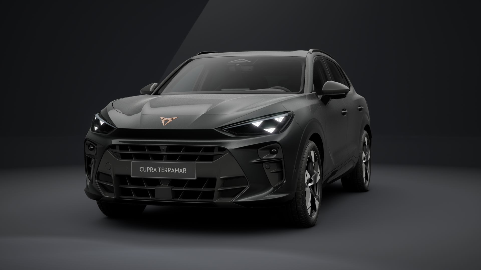 CUPRA Terramar VZ 2.0 TSI 195 kW (265 PS) 7-Gang DSG 4Drive (1203107562025)