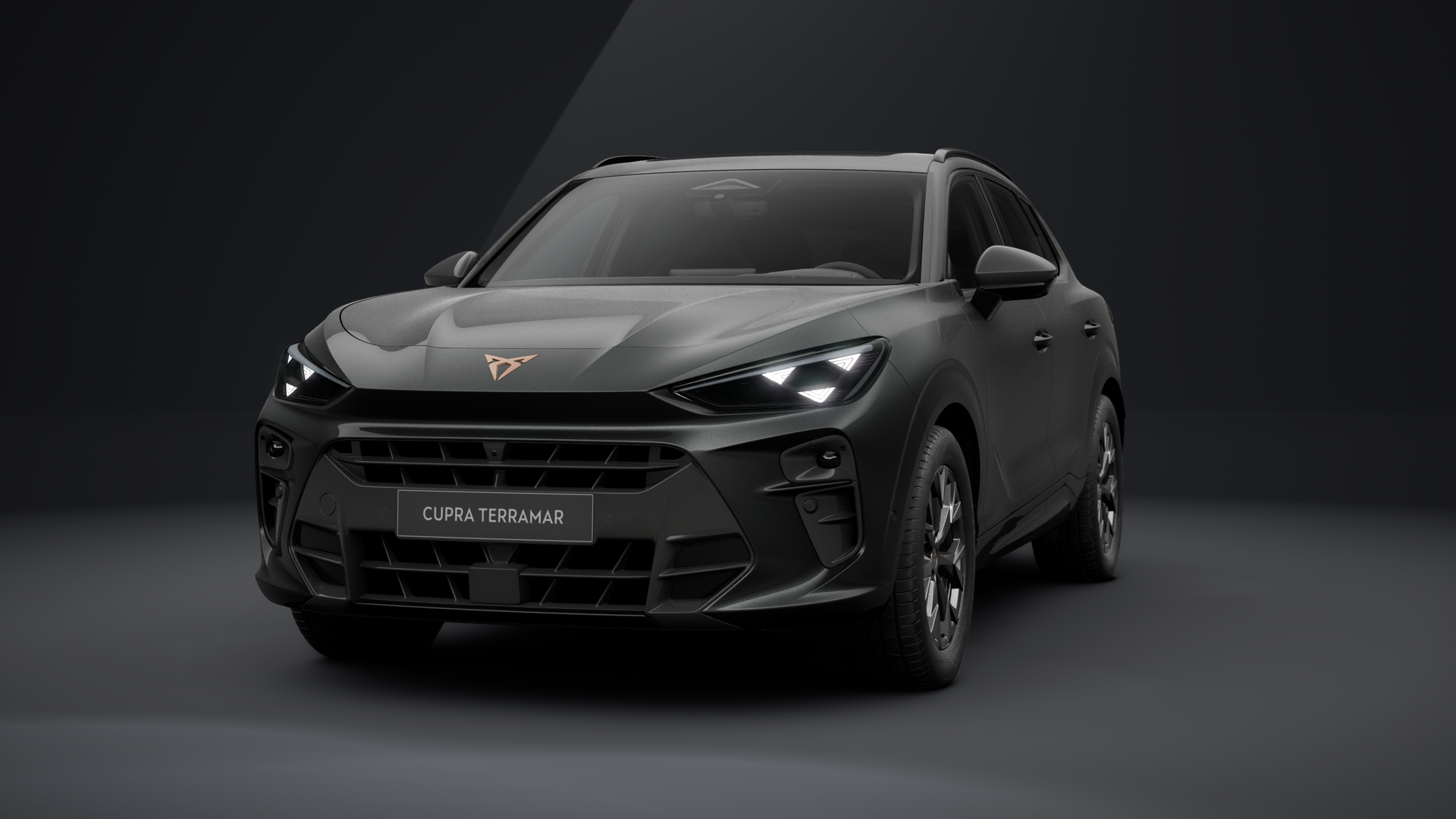 CUPRA Terramar 2.0 TSI 150 kW (204 PS) 7-Gang DSG 4Drive (1203162132025)
