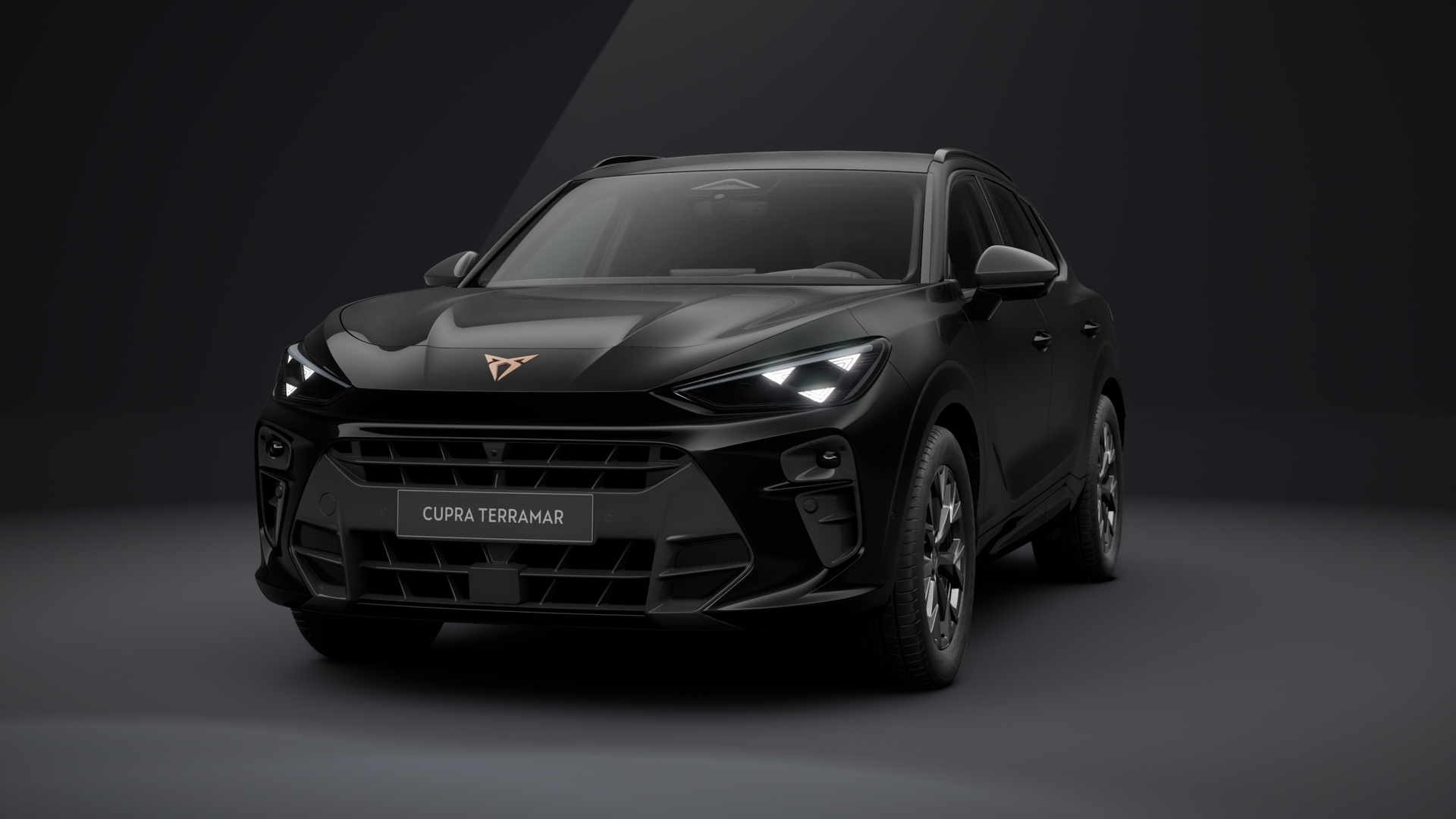 CUPRA Terramar 1.5 eTSI 110 kW (150 PS) 7-Gang-DSG (1203162252025)