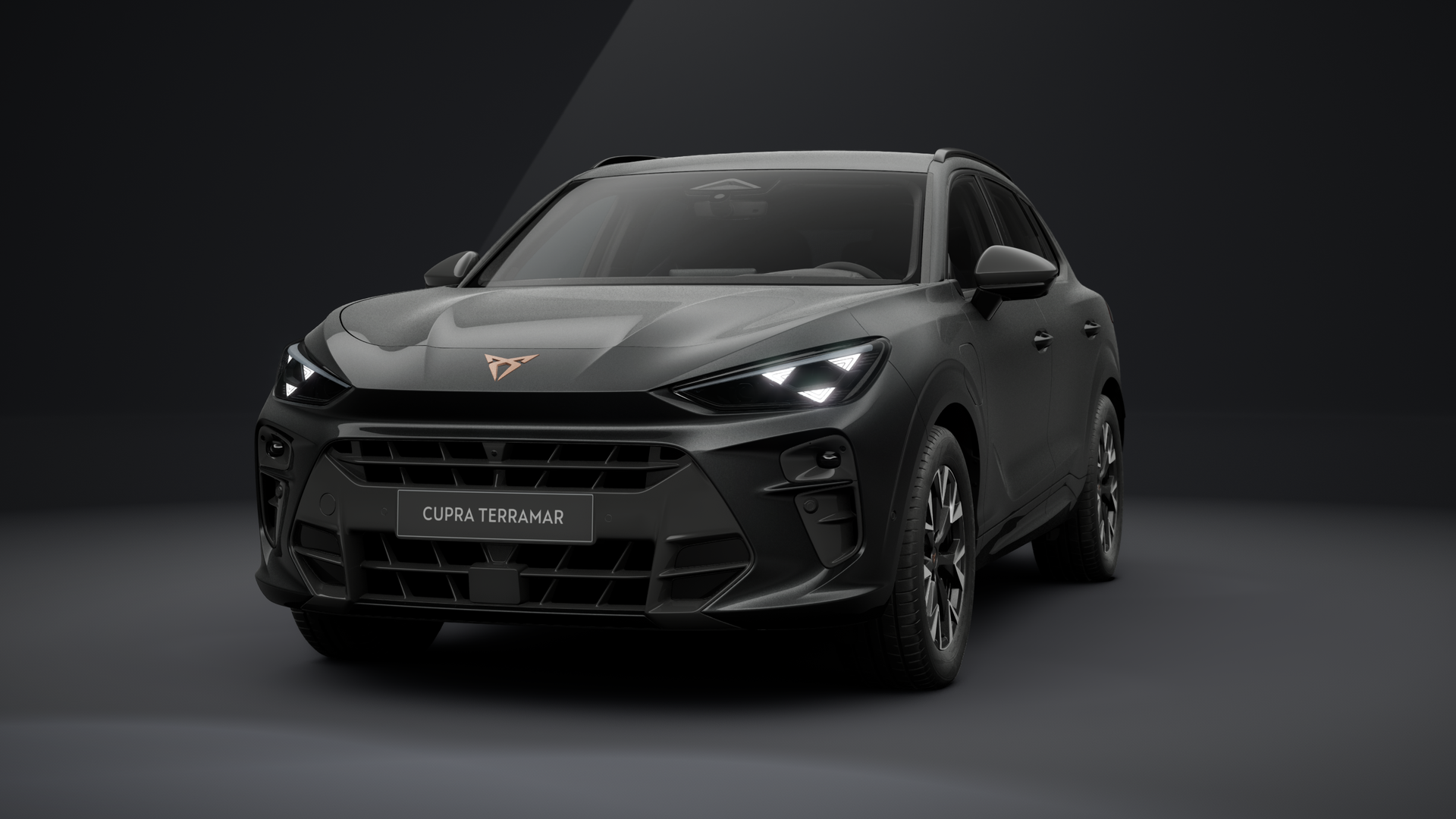 CUPRA Terramar 1.5 e-HYBRID 150 kW (204 PS) 6-Gang-DSG (1203365362025)