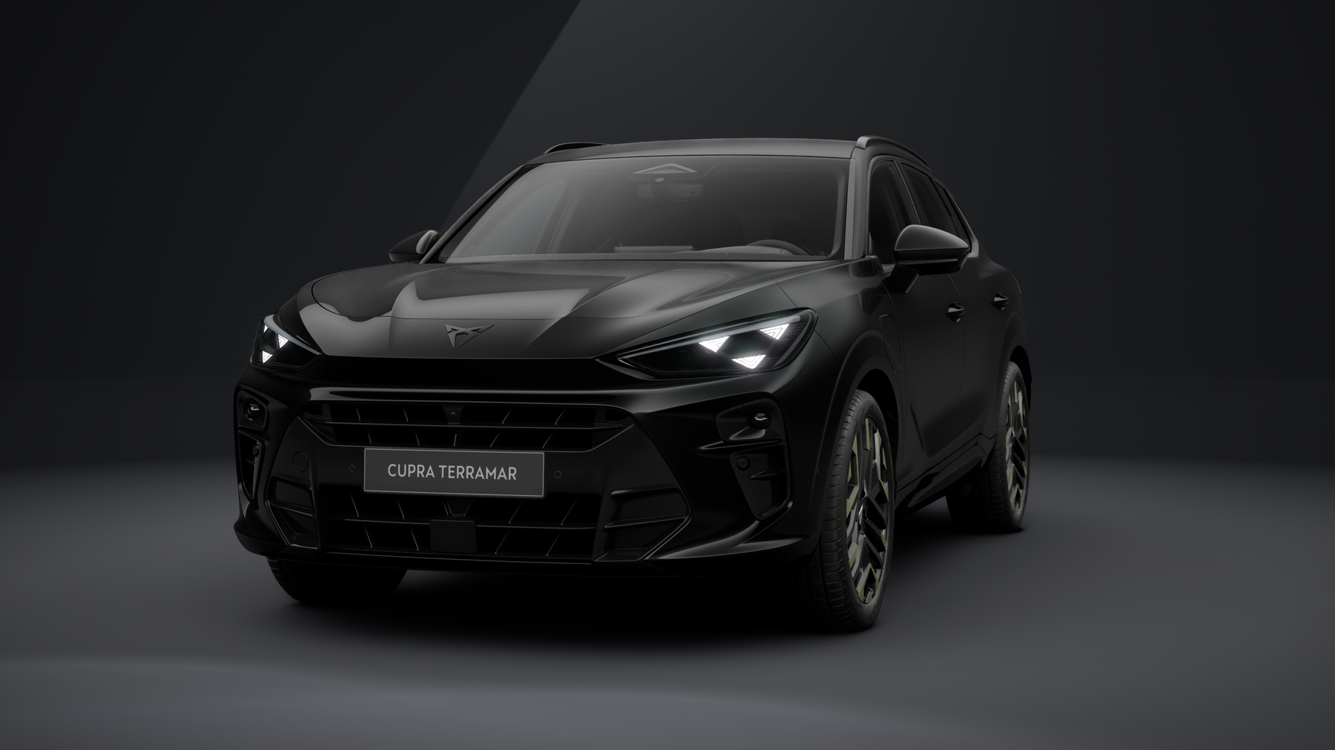 CUPRA Terramar VZ Tribe Edition 1.5 e-HYBRID 200 kW (272 PS) 6-Gang-DSG (1203363162025)