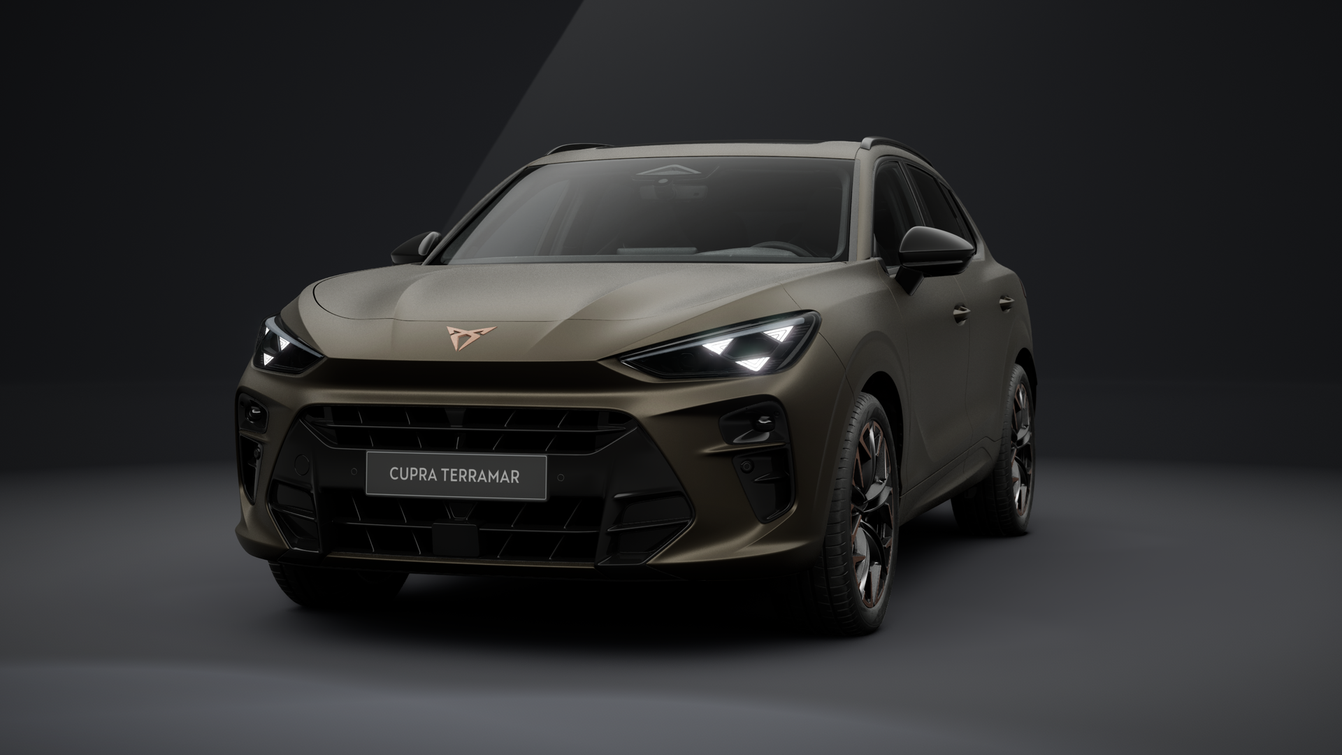 CUPRA Terramar VZ 2.0 TSI 195 kW (265 PS) 7-Gang DSG 4Drive (1203117412025)