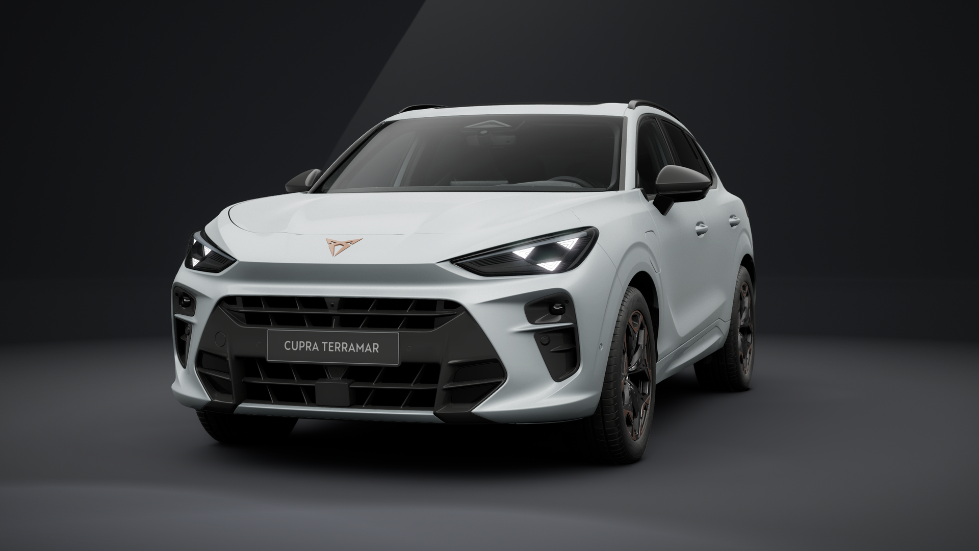 CUPRA Terramar VZ 1.5 e-HYBRID 200 kW (272 PS) 6-Gang-DSG (1202869642025)