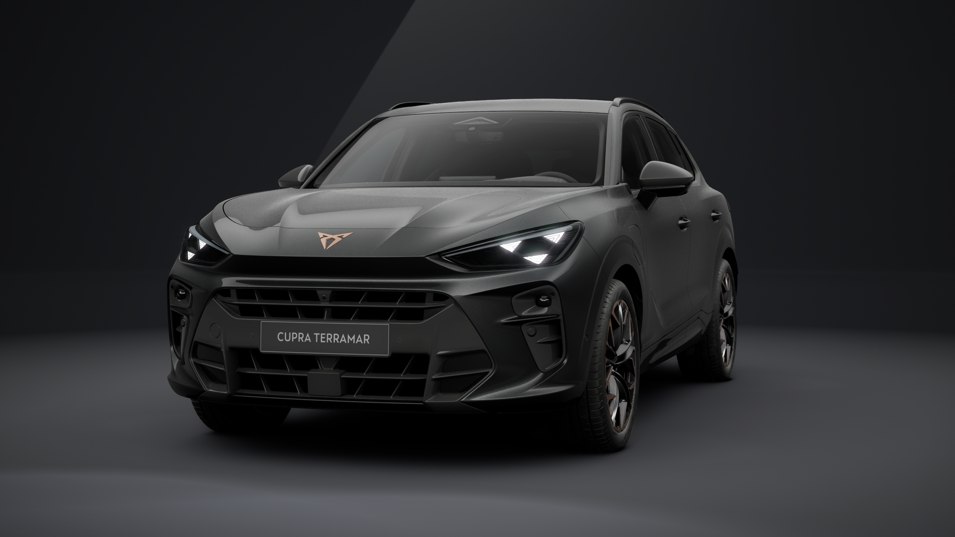 CUPRA Terramar VZ 1.5 e-HYBRID 200 kW (272 PS) 6-Gang-DSG (1203326532025)