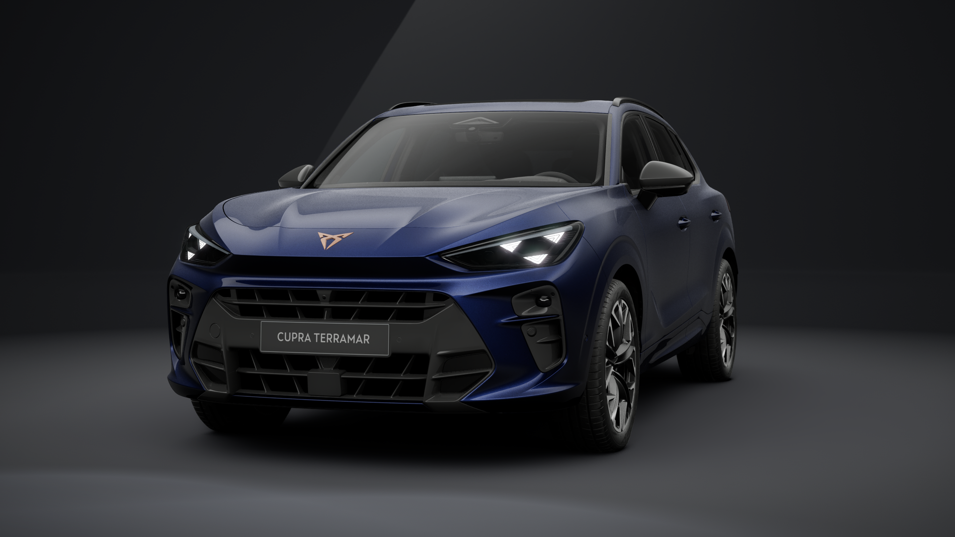 CUPRA Terramar VZ 2.0 TSI 195 kW (265 PS) 7-Gang DSG 4Drive (1203107352025)