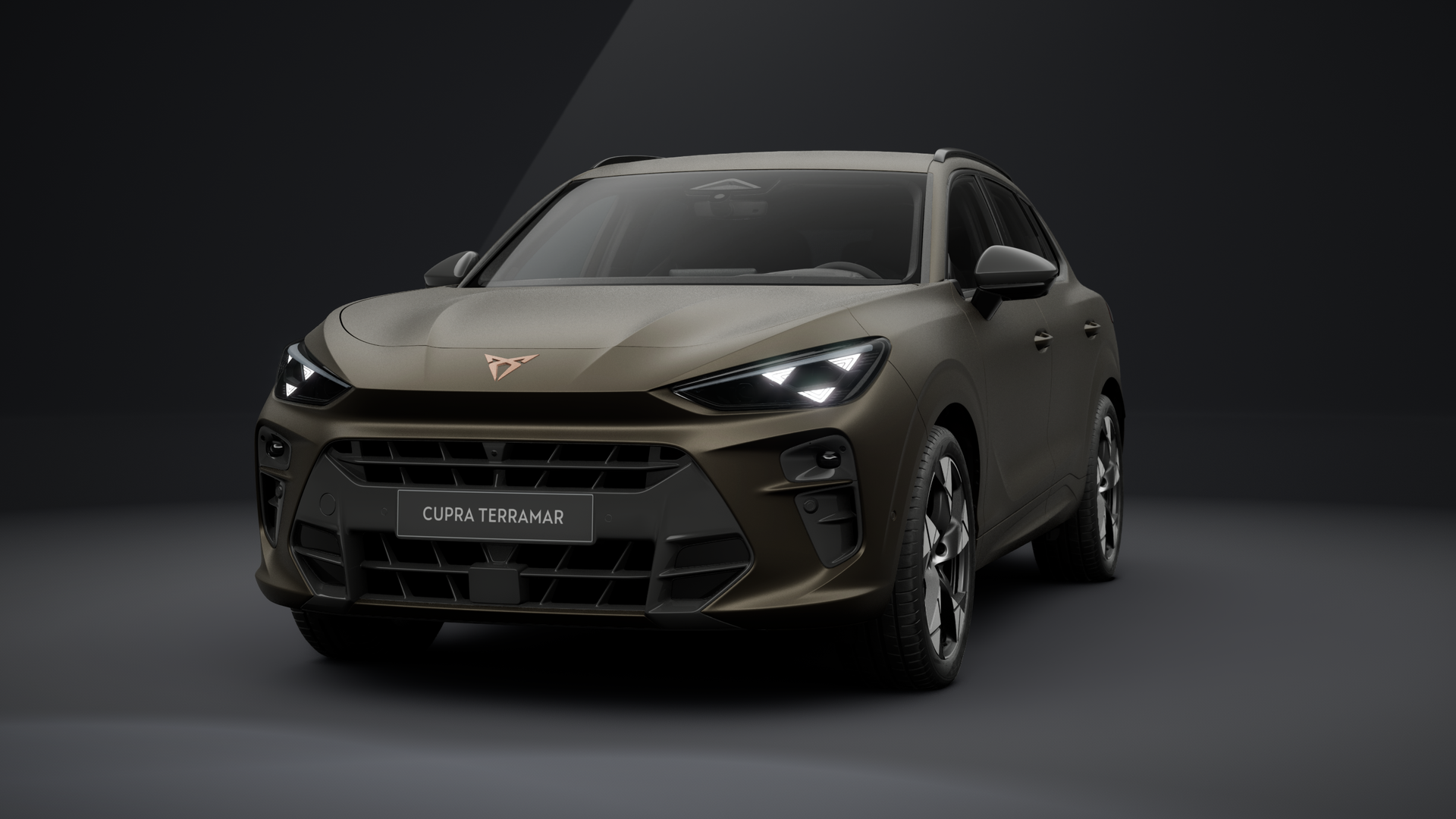 CUPRA Terramar VZ 2.0 TSI 195 kW (265 PS) 7-Gang DSG 4Drive (1203746612026)