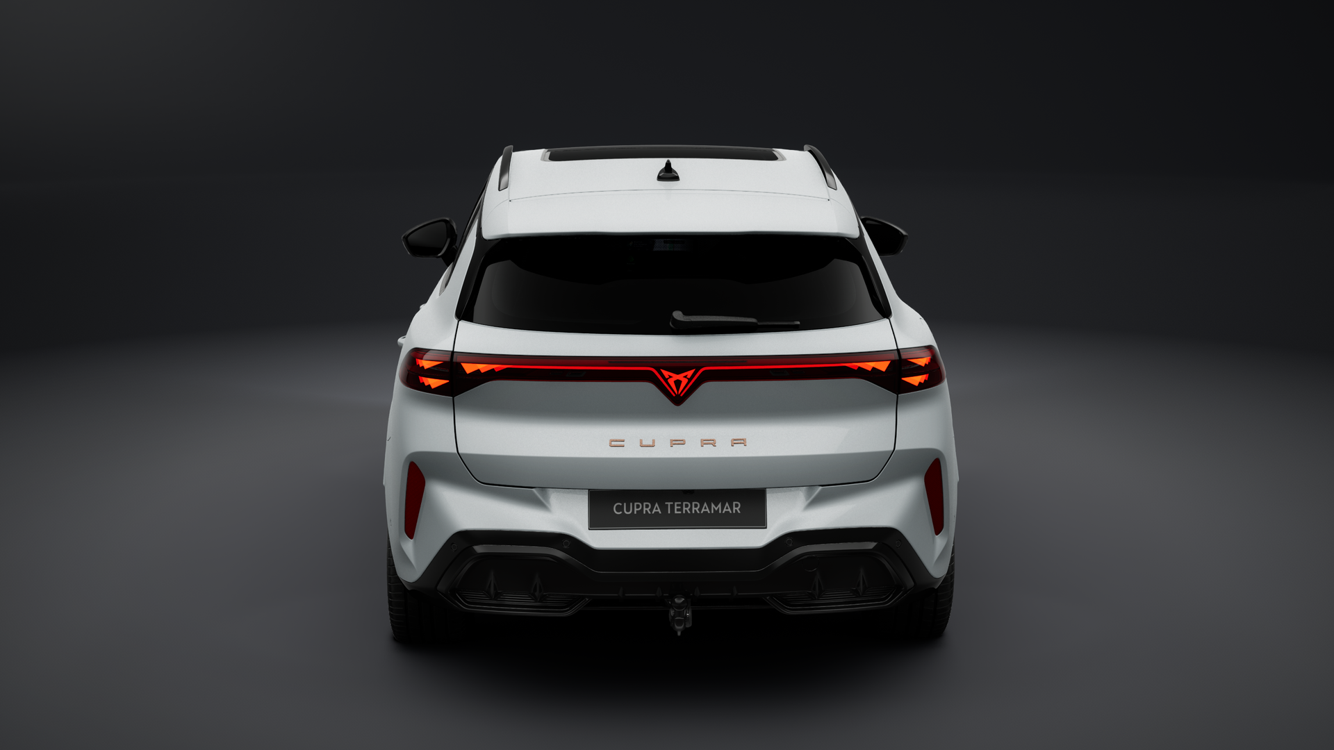 Bild des Autos 2