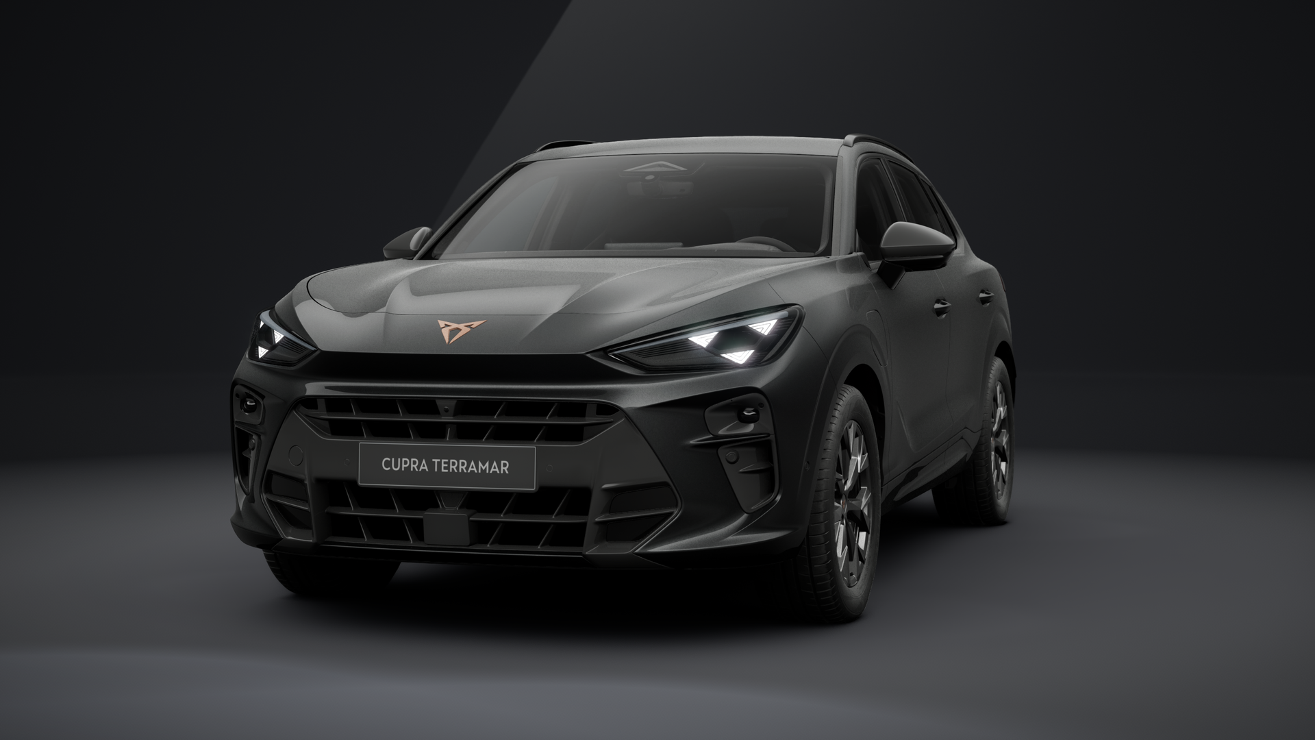 CUPRA Terramar 1.5 e-HYBRID 150 kW (204 PS) 6-Gang-DSG (1204612922026)