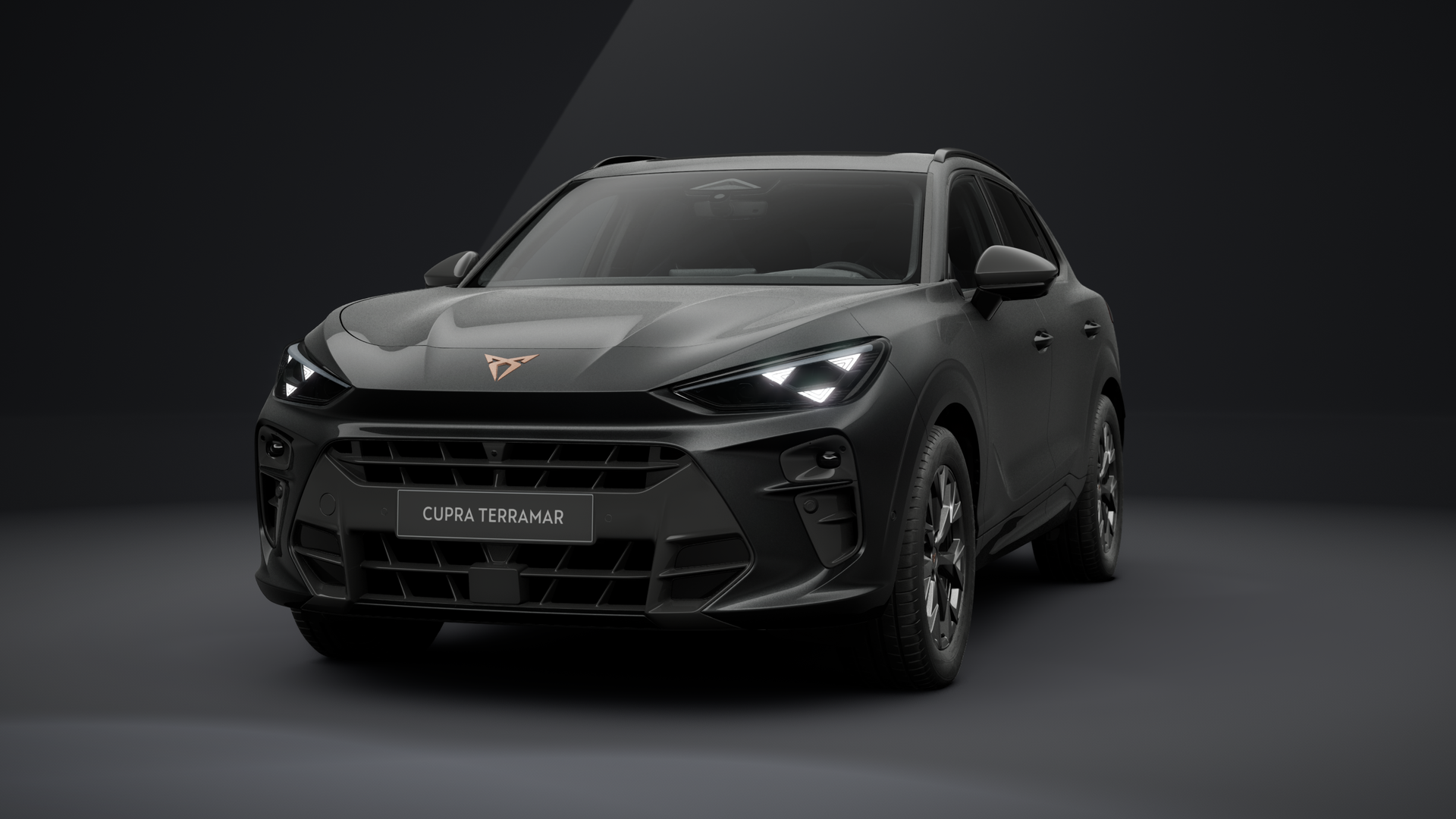 CUPRA Terramar 2.0 TSI 150 kW (204 PS) 7-Gang DSG 4Drive (1203162132025)