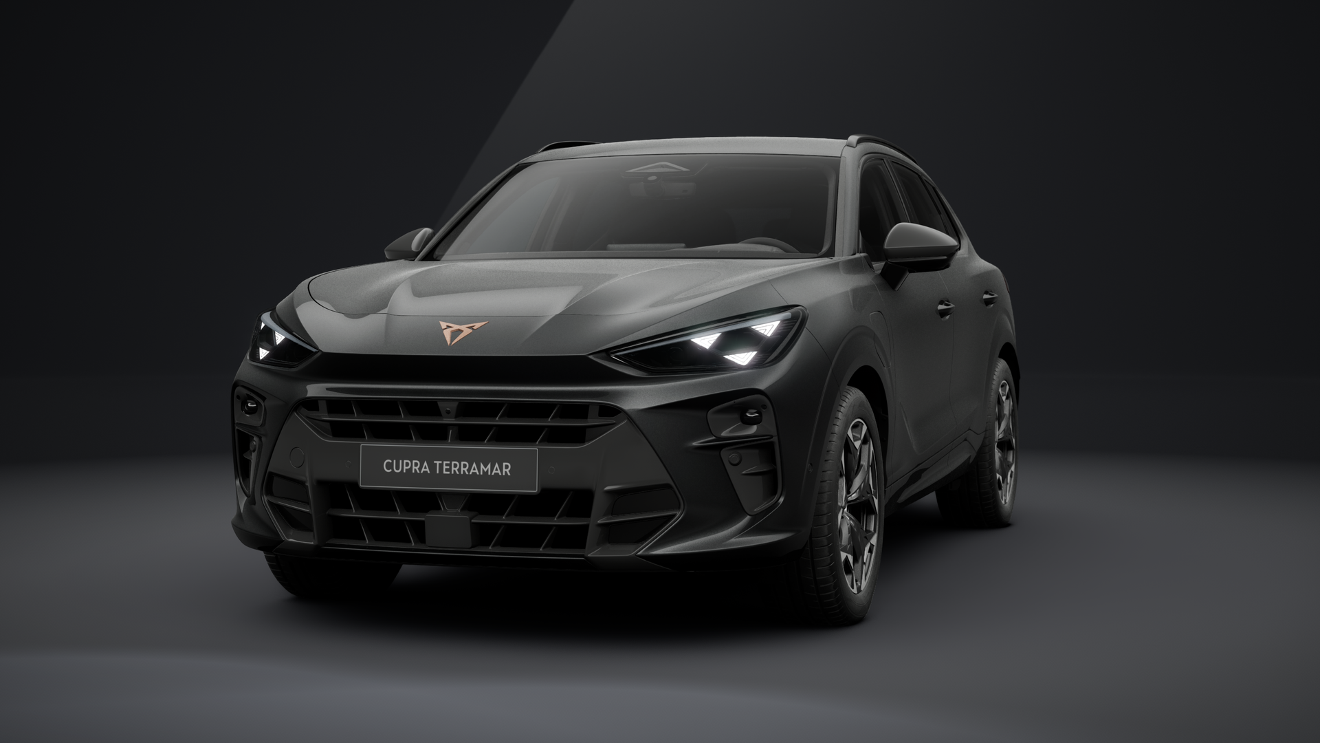 CUPRA Terramar VZ 1.5 e-HYBRID 200 kW (272 PS) 6-Gang-DSG (1203376322025)