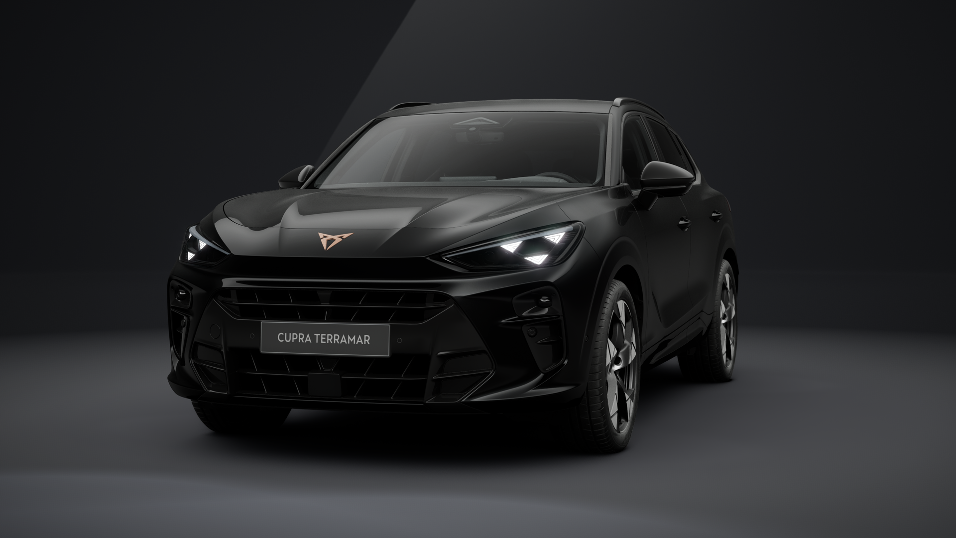 CUPRA Terramar 1.5 eTSI 110 kW (150 PS) 7-Gang-DSG (1202845552025)