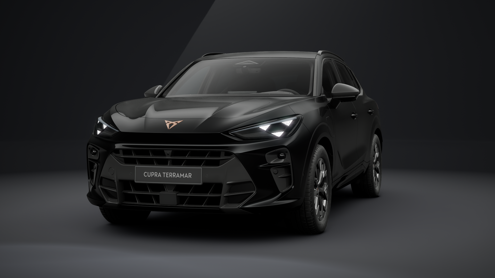 CUPRA Terramar 1.5 e-HYBRID 150 kW (204 PS) 6-Gang-DSG (1204614452026)