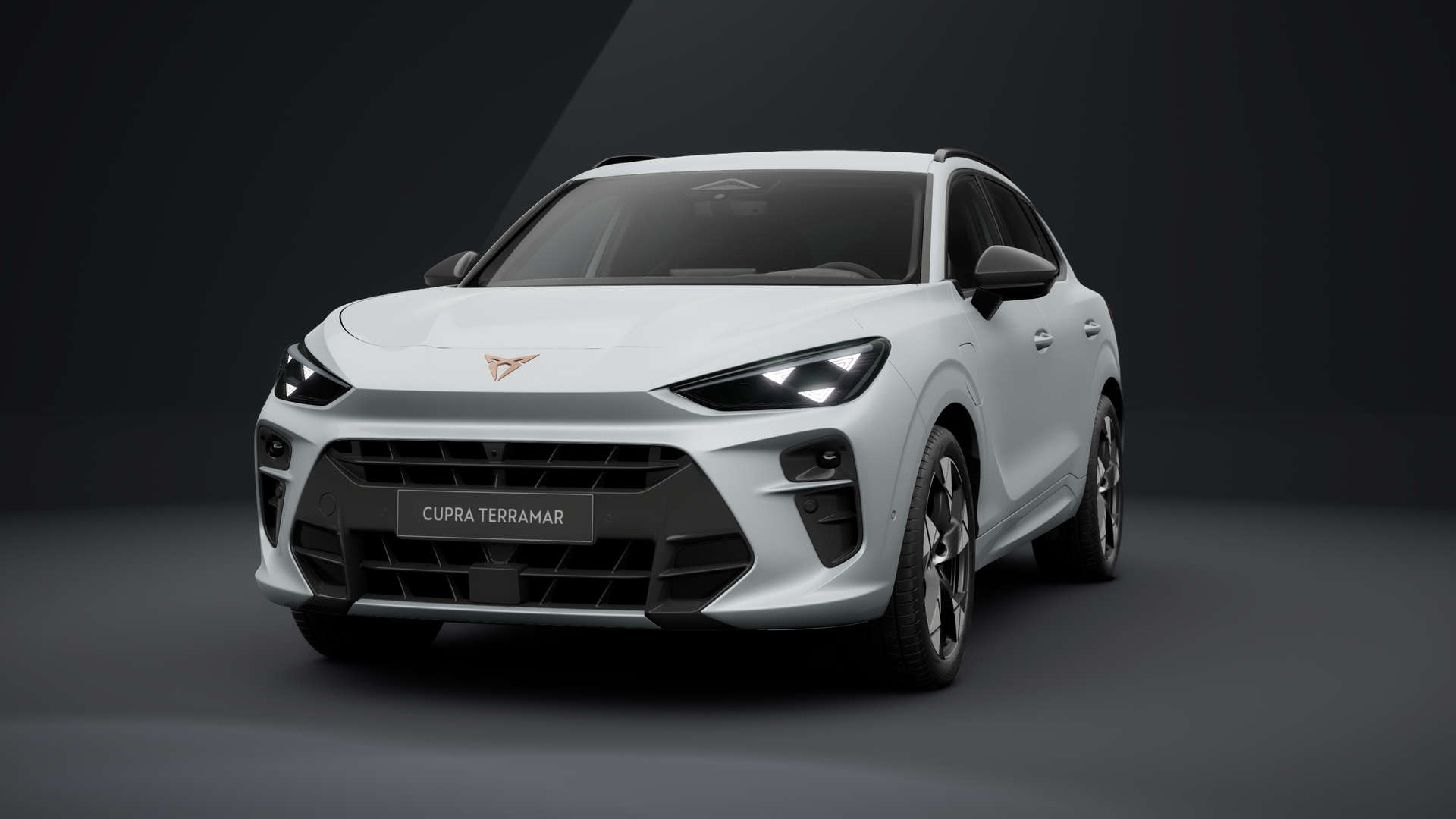 CUPRA Terramar 1.5 e-HYBRID 150 kW (204 PS) 6-Gang-DSG (1203239702025)